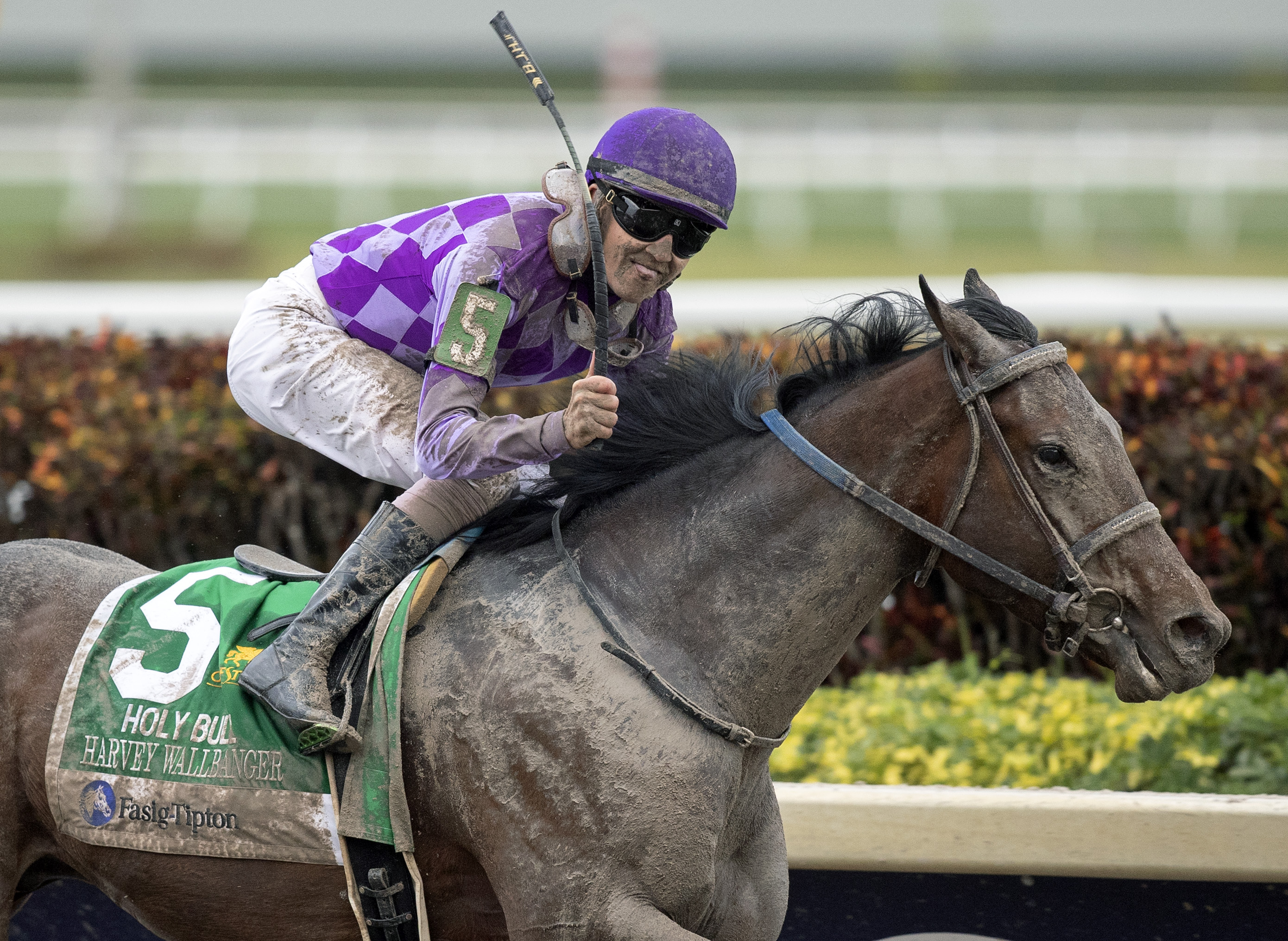 Harvey Wallbanger wins the 2019 Holy Bull Stakes