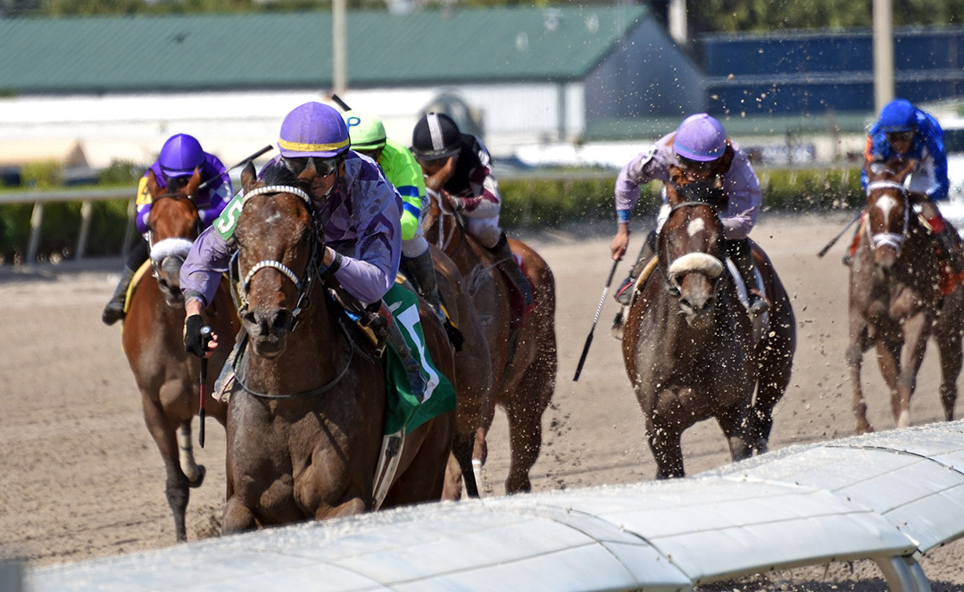 Harvey Wallbanger wins a Feb. 29 allowance at Gulfstream Park