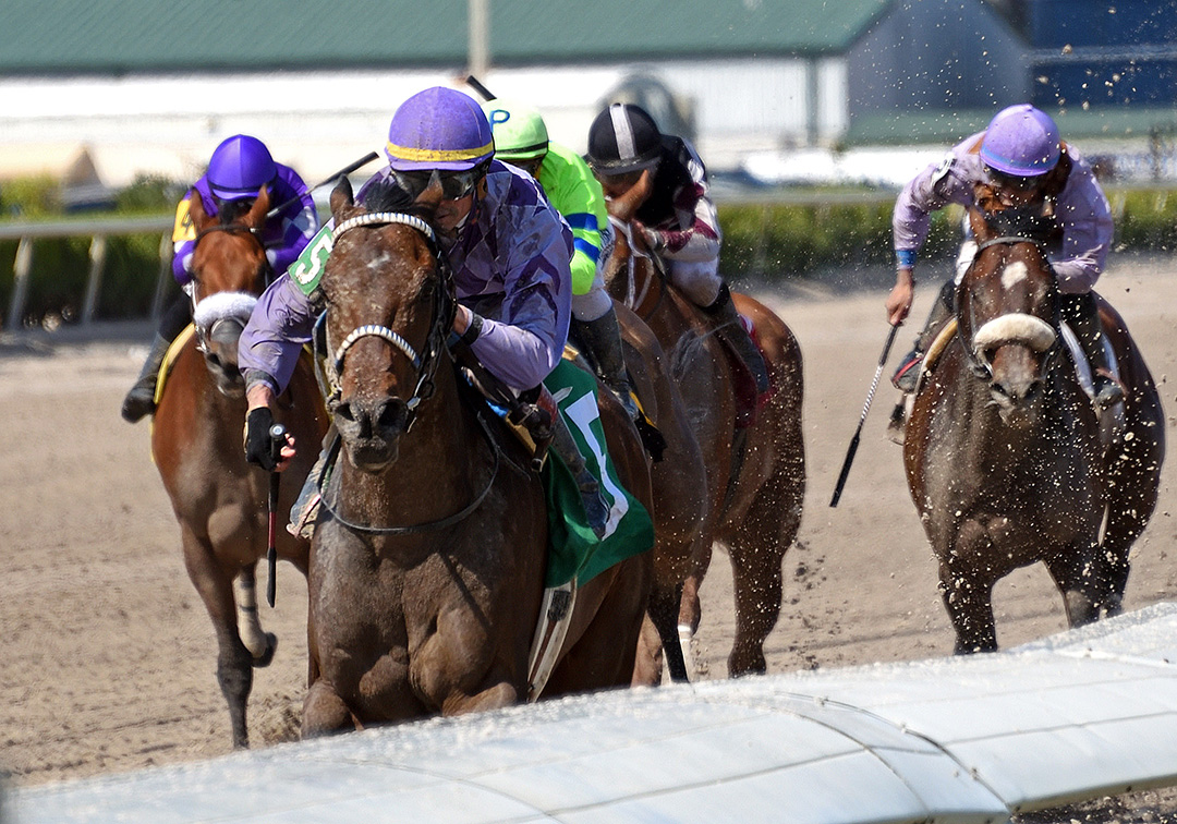 Harvey Wallbanger wins a Feb. 29 allowance at Gulfstream