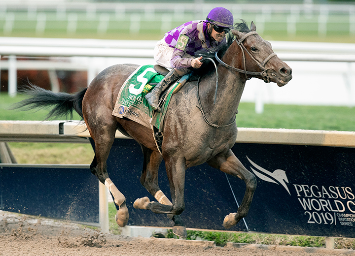 Harvey Wallbanger wins the 2019 Holy Bull at Gulfstream Park