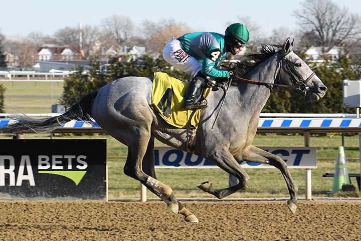 Harvey's Lil Goil wins a Dec. 12 maiden race at Aqueduct Racetrack