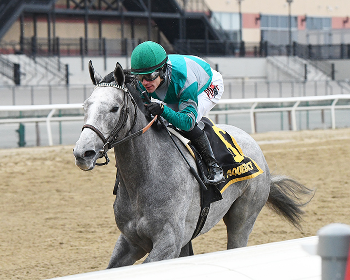 Harvey's Lil Goil wins the 2020 Busanda Stakes at Aqueduct Racetrack