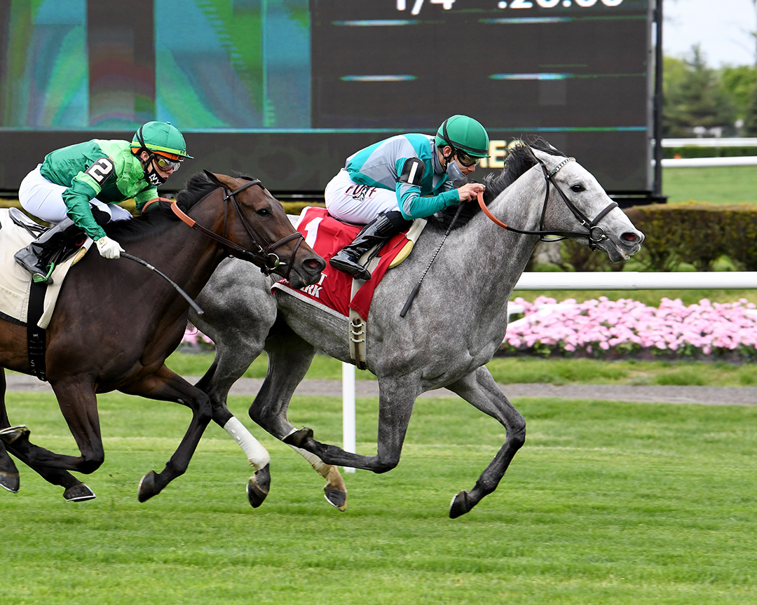 Harvey's Lil Goil wins the 2021 Beugay Stakes at Belmont Park