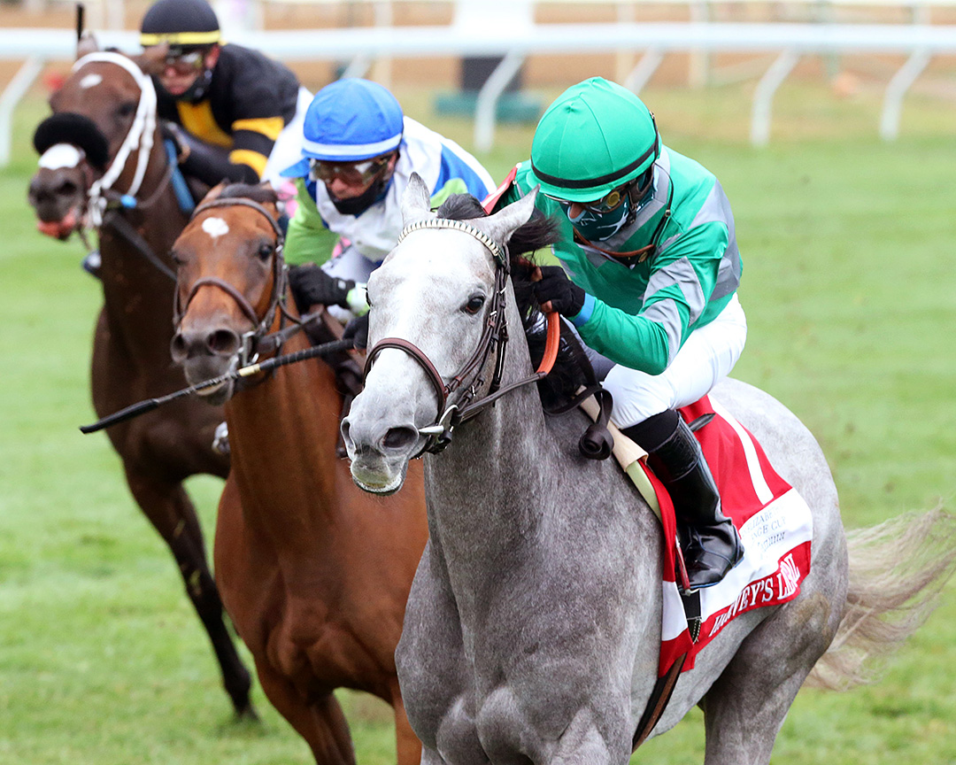 Harvey's Lil Goil wins the 2020 Queen Elizabeth II Challenge Cup