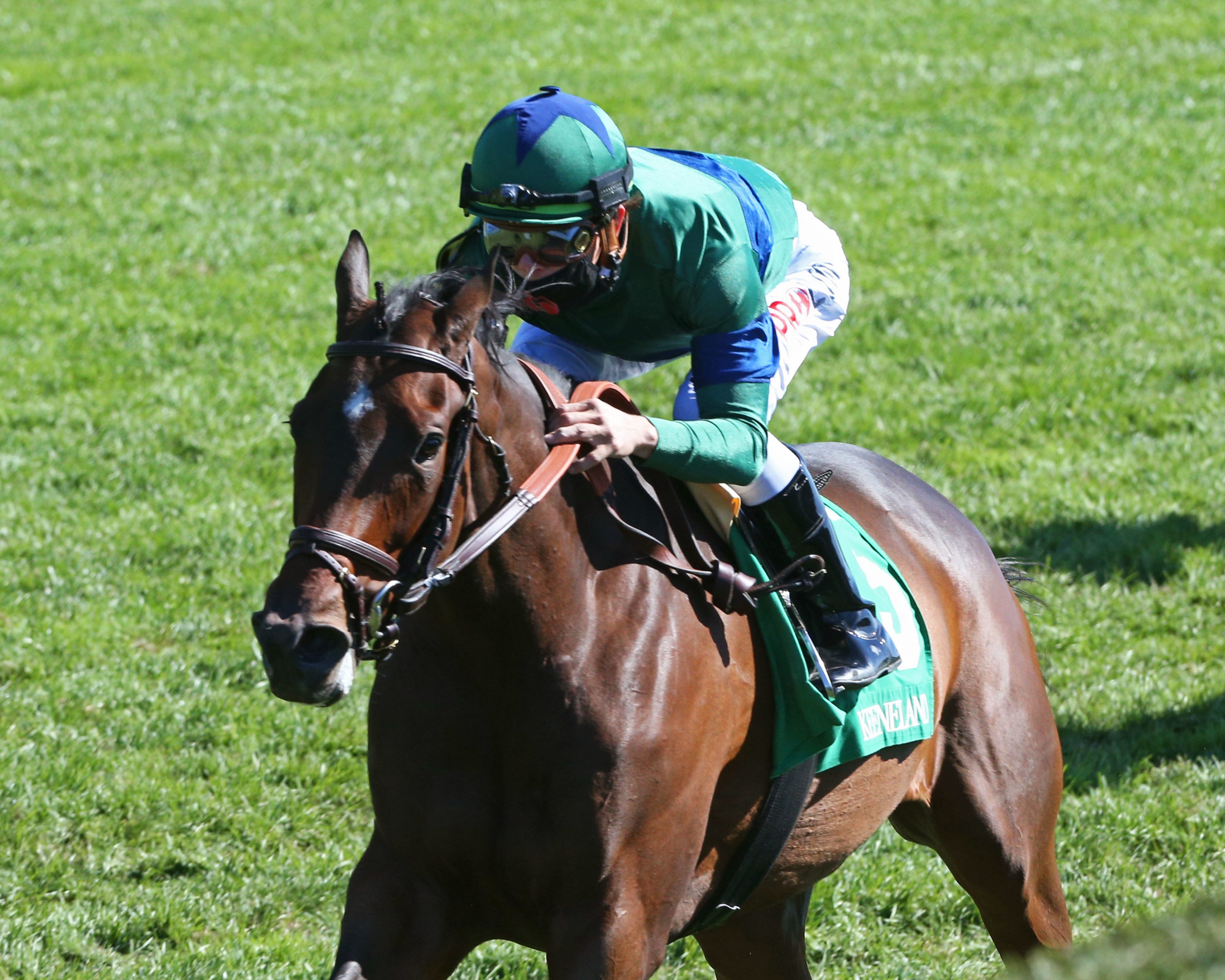 Haughty wins a turf maiden race at Keeneland on October 17 2021
