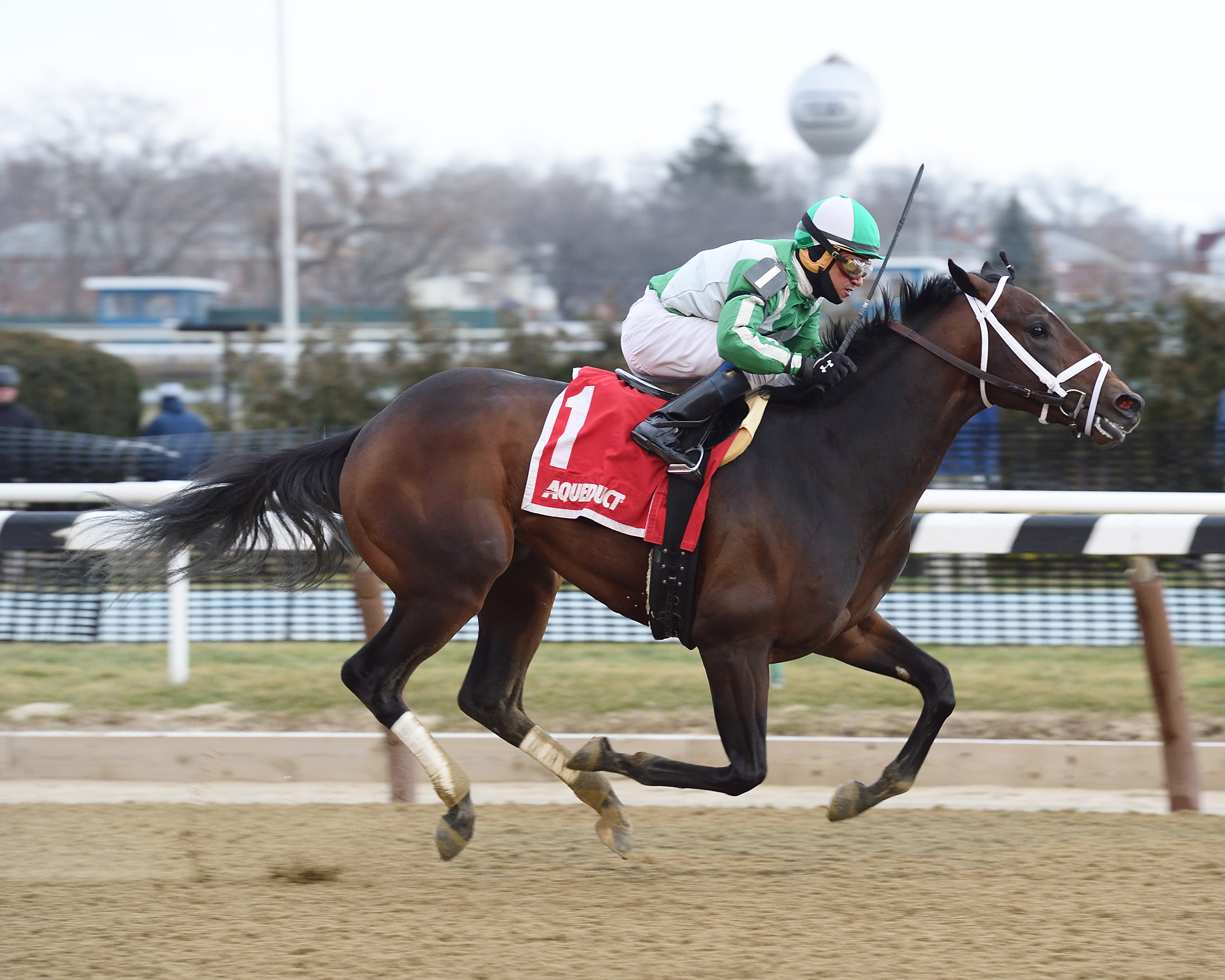 Haul Anchor wins the Gander Stakes