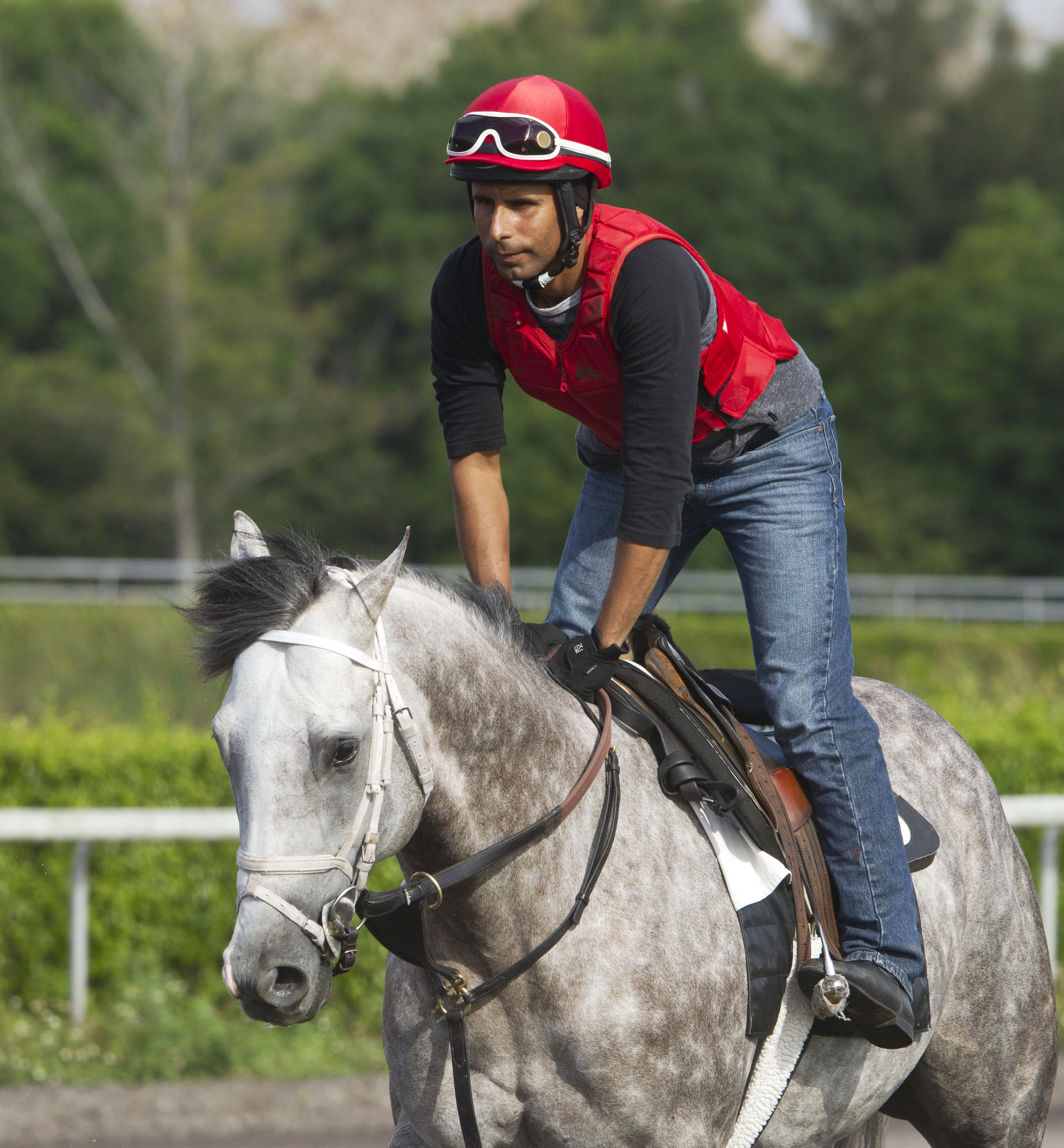 Havana at Palm Beach Downs in March