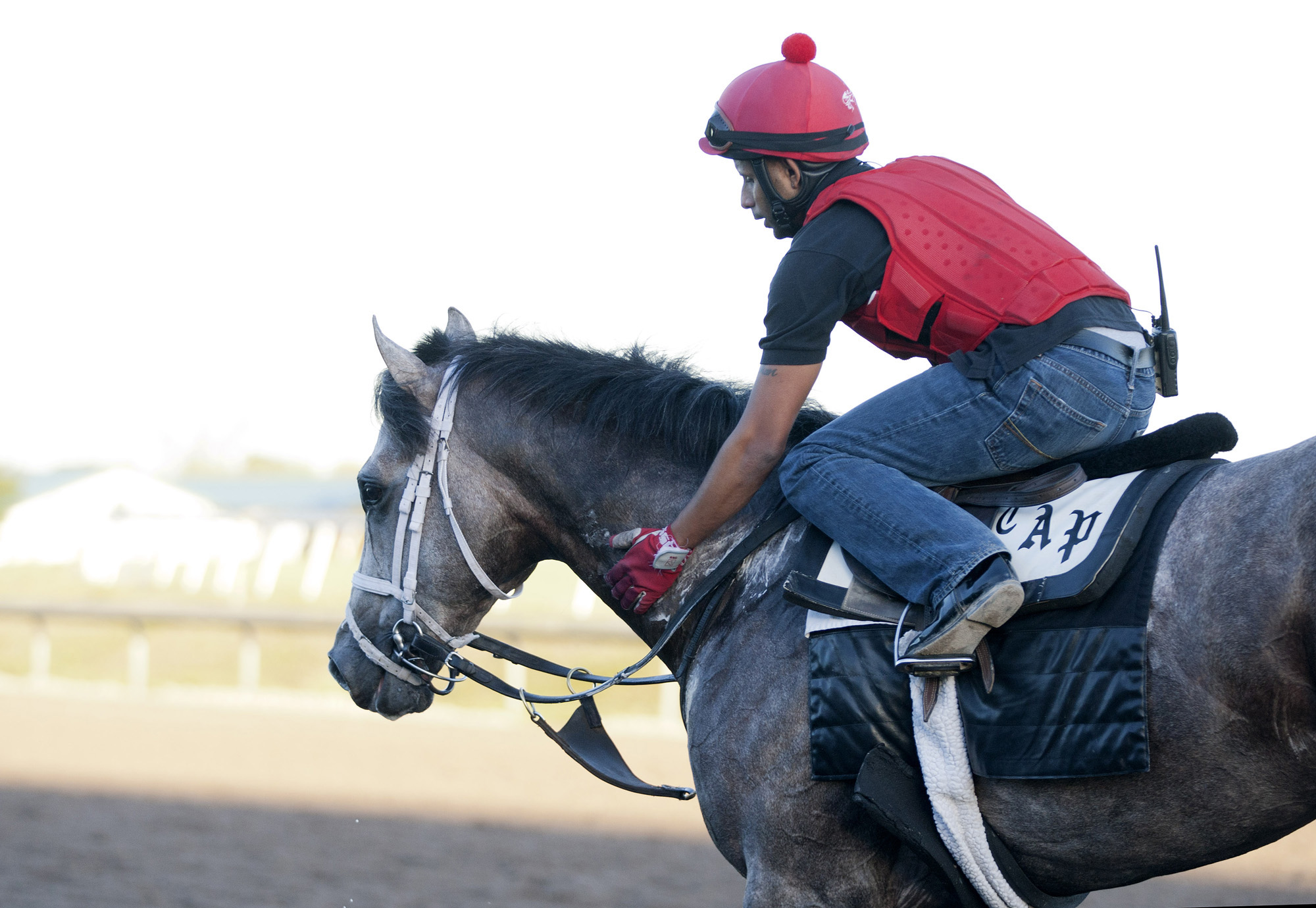 Havana at Palm Meadows
