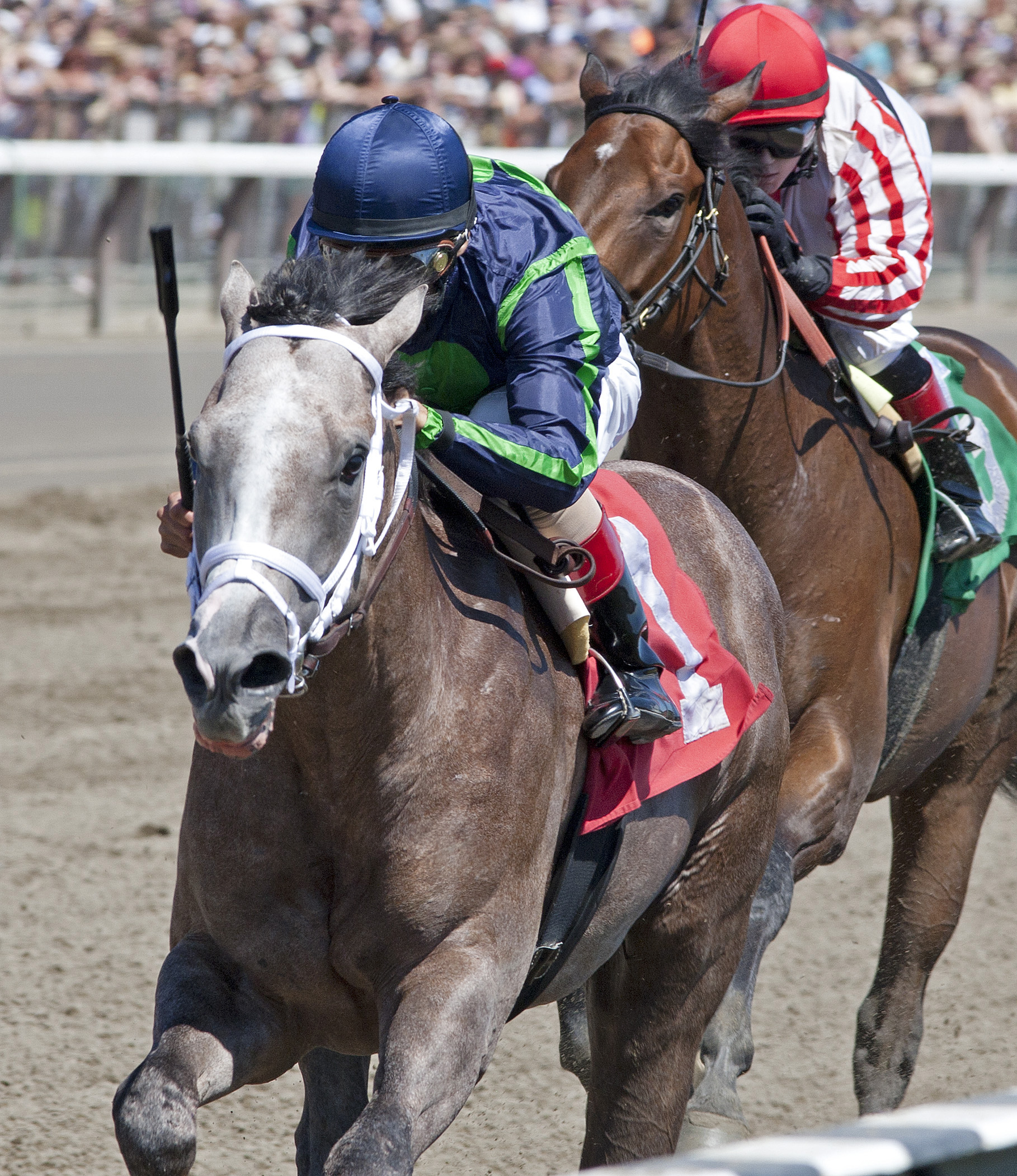 Havana, maiden win