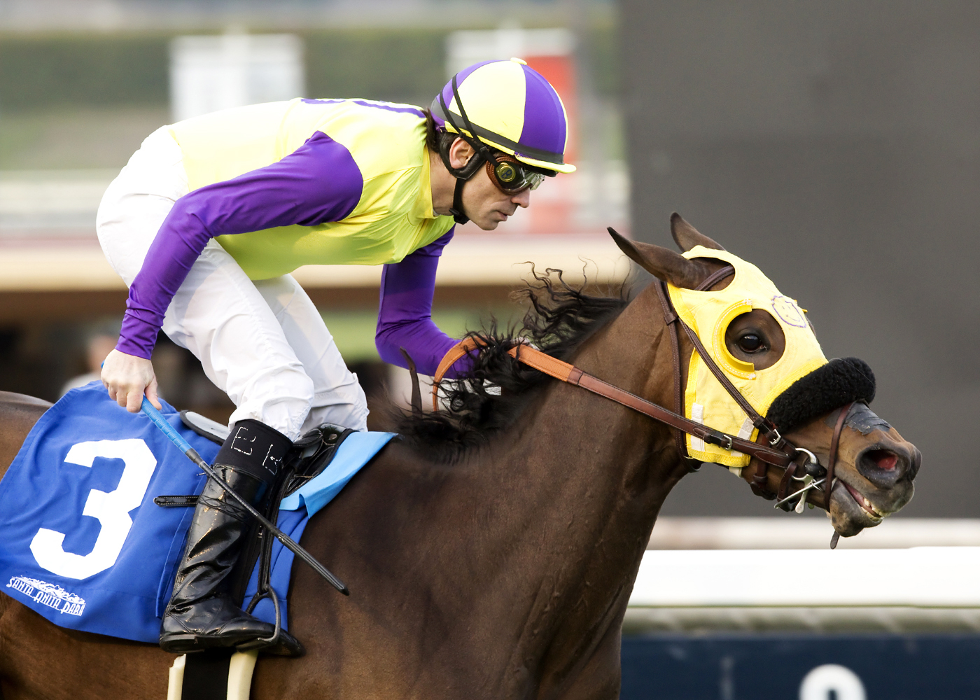 Havanna Belle wins the Astra Stakes