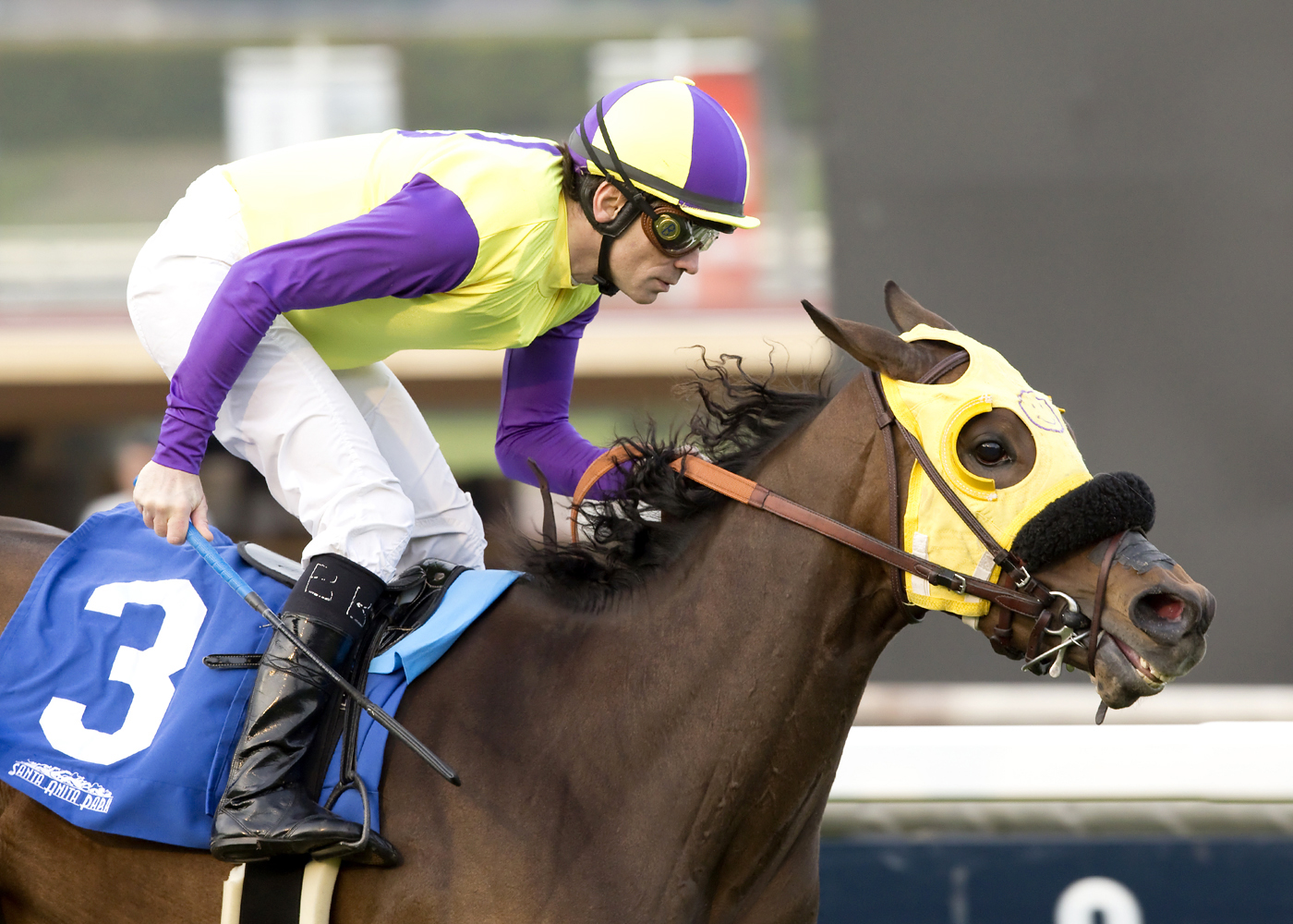 Havanna Belle wins the Astra Stakes