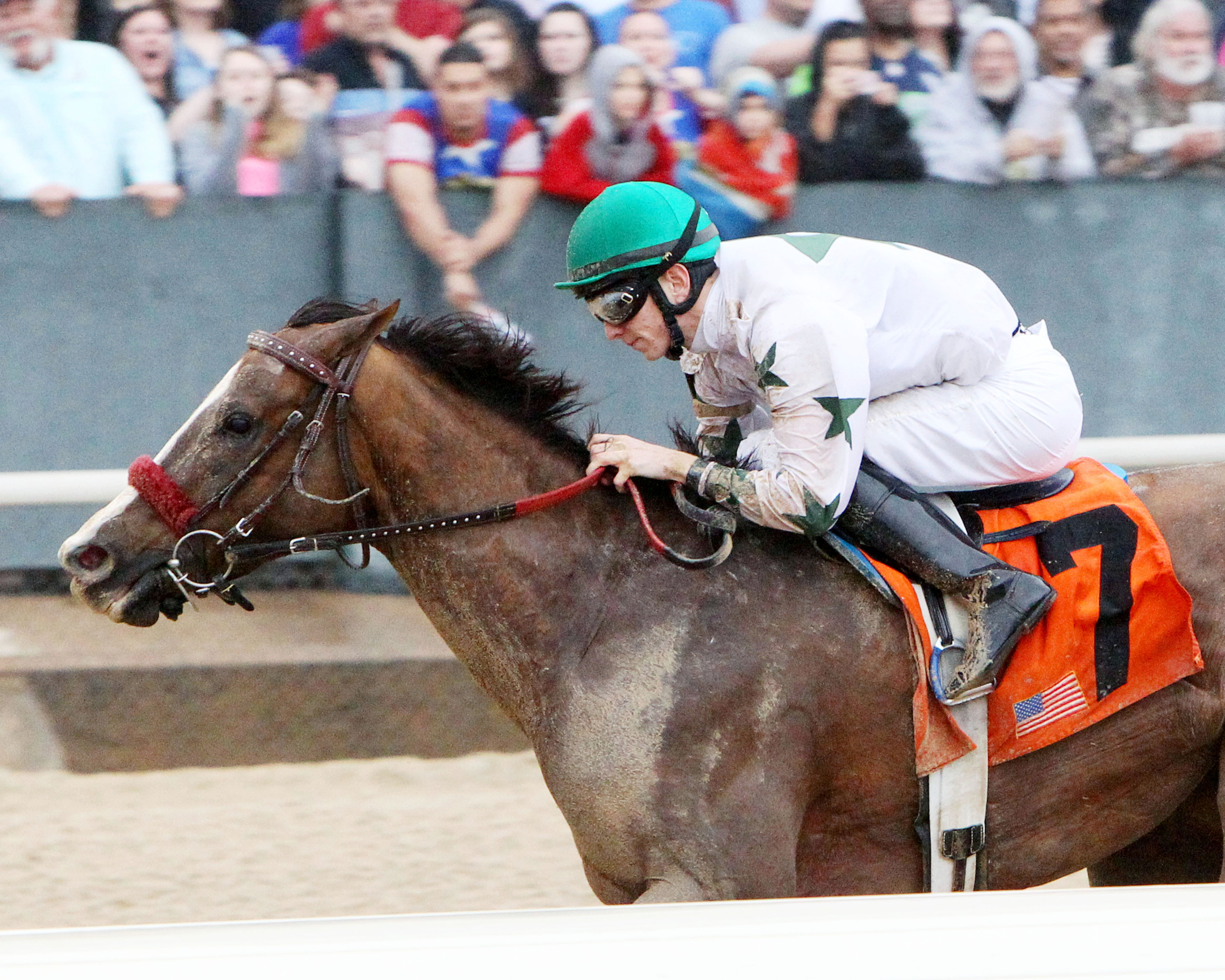Haveyougoneaway wins the Spring Fever