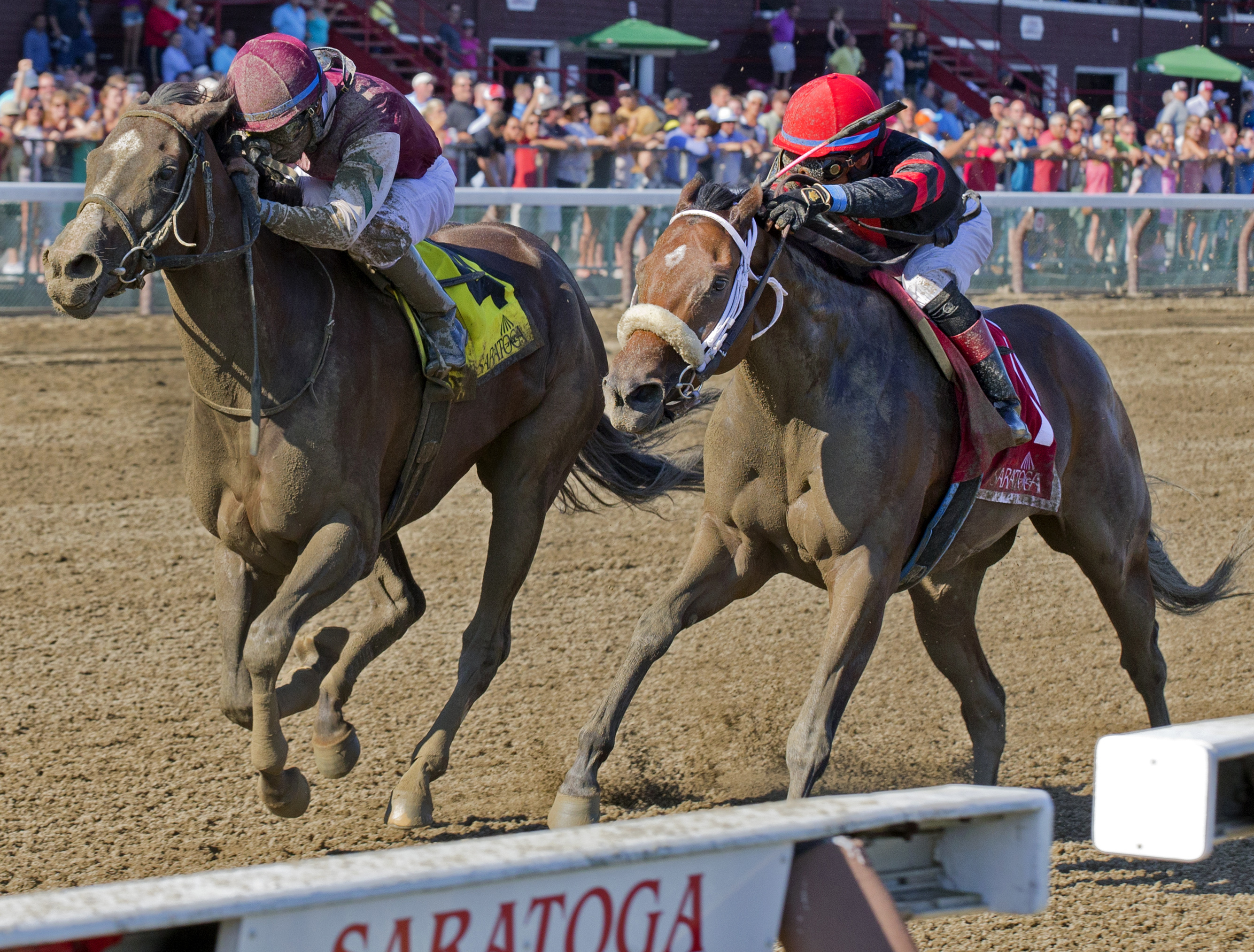 Haveyougoneaway wins the Honorable Miss