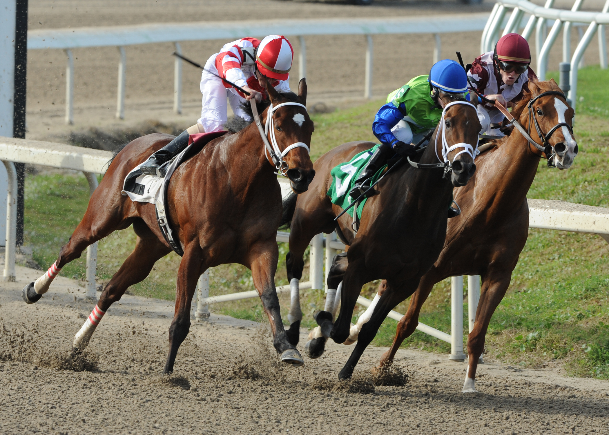 Havre de Grace (turn), New Orleans Ladies