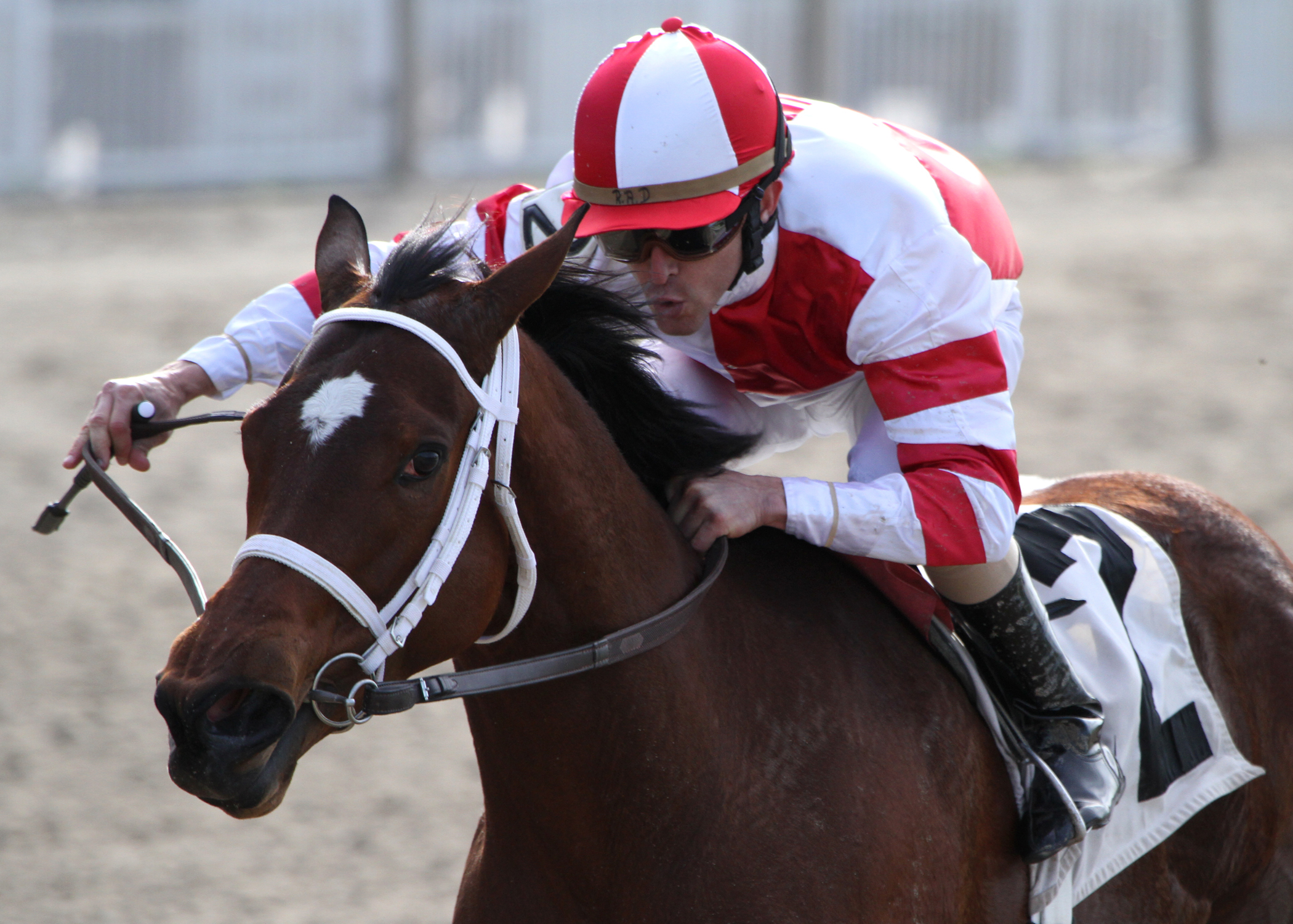 Havre de Grace