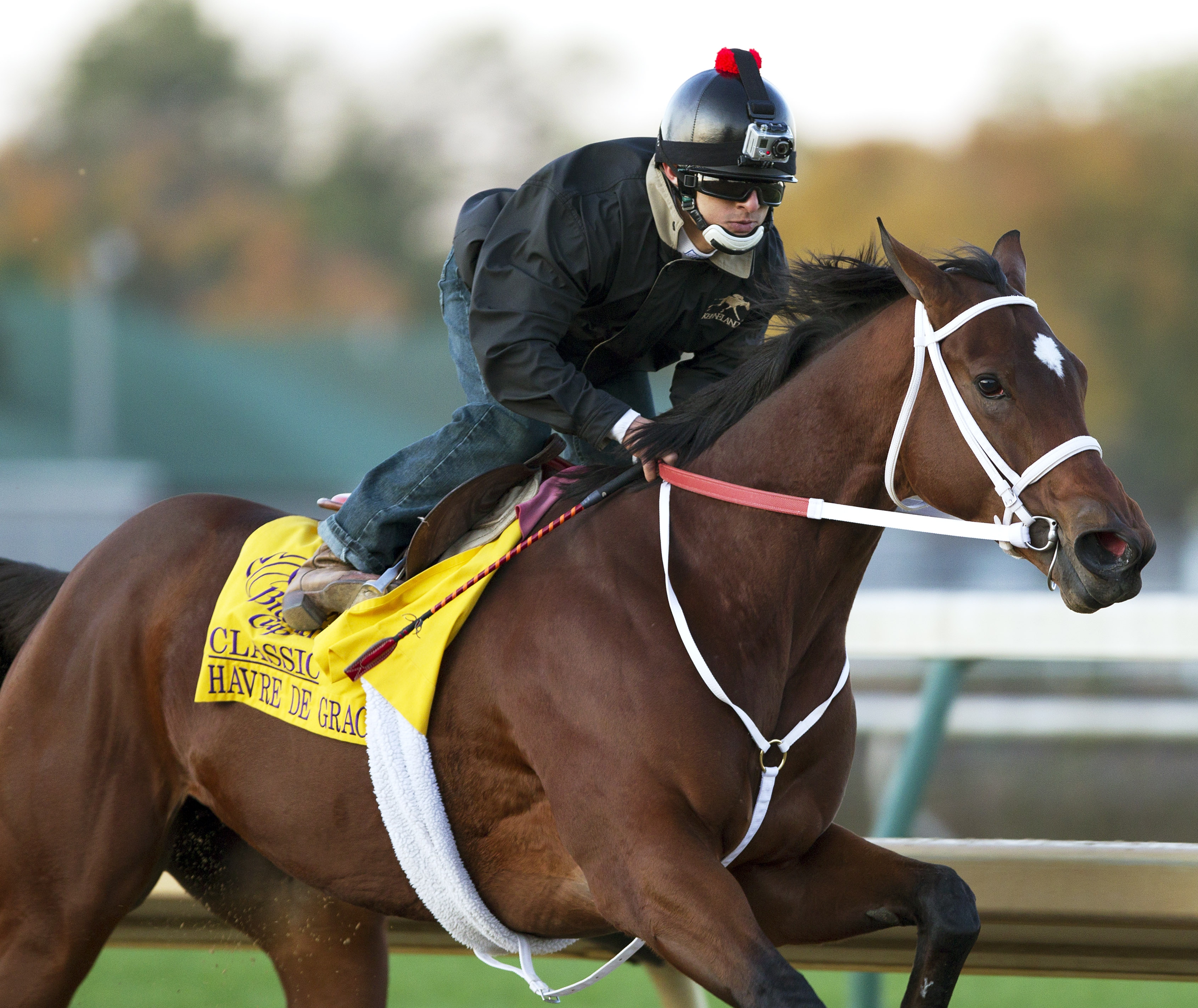 havre de grace