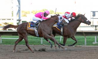 Blind Luck/Havre de Grace