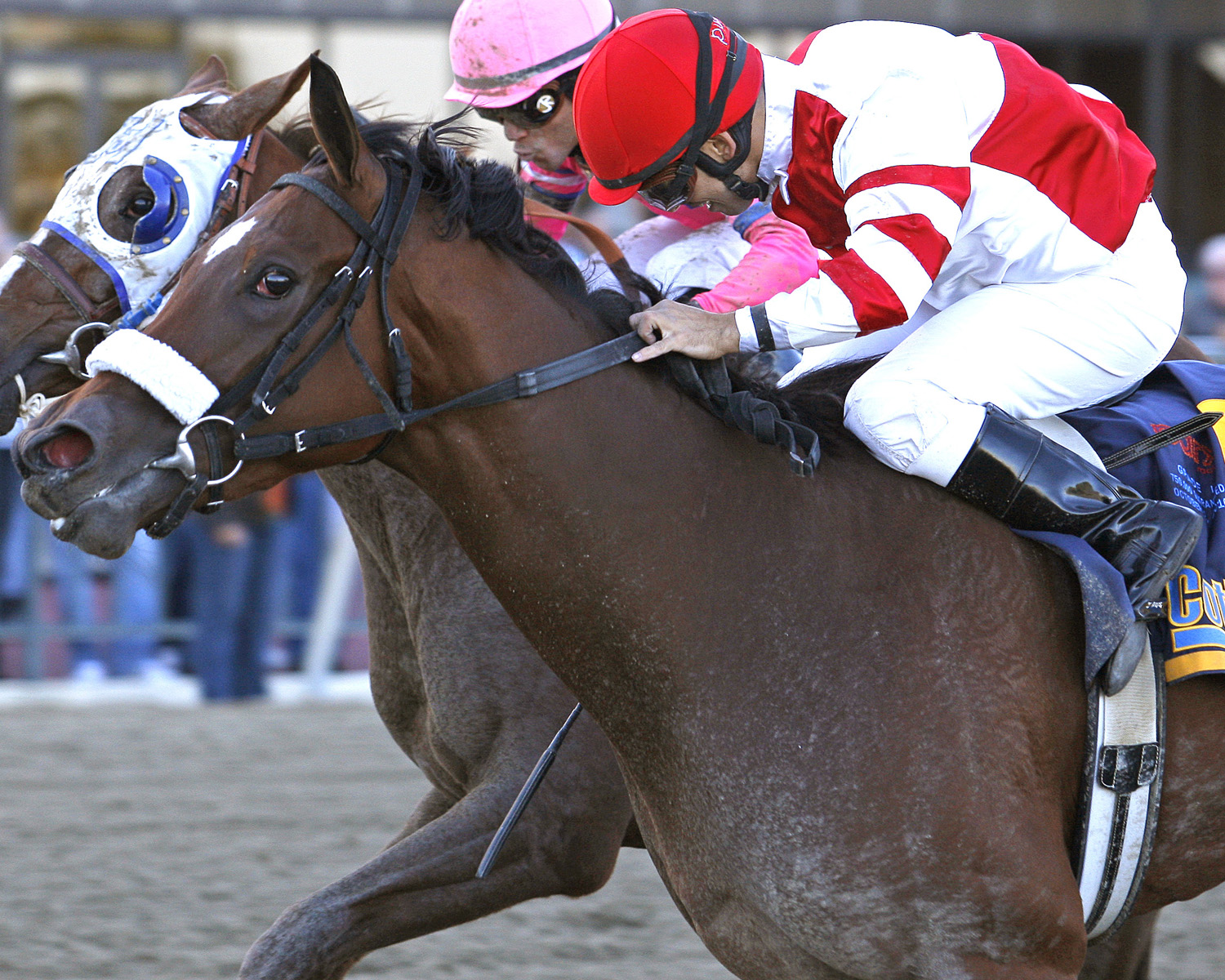 Havre de Grace - Eclipse Awards