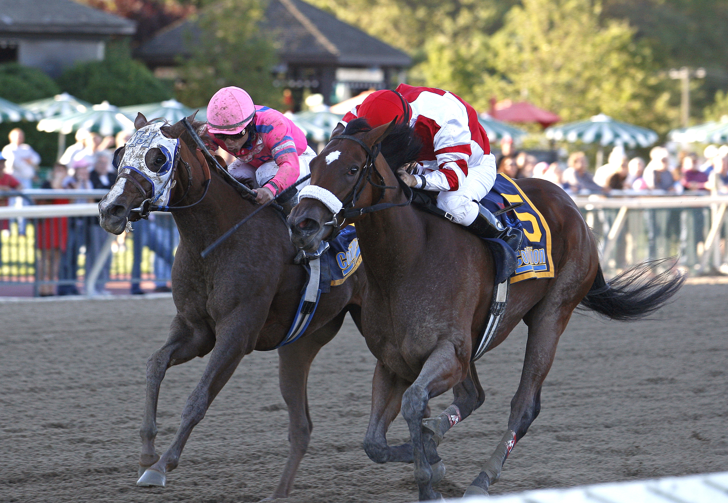 Havre de Grace (right) wins 2010 Cotillion