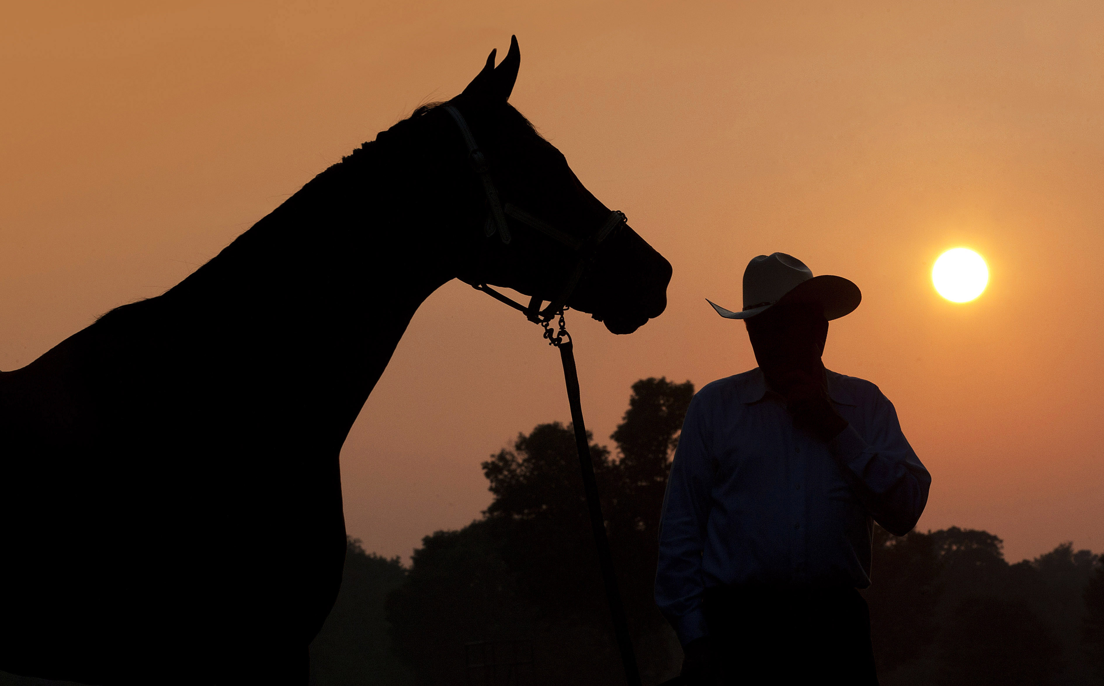 Havre de Grace and Larry Jones