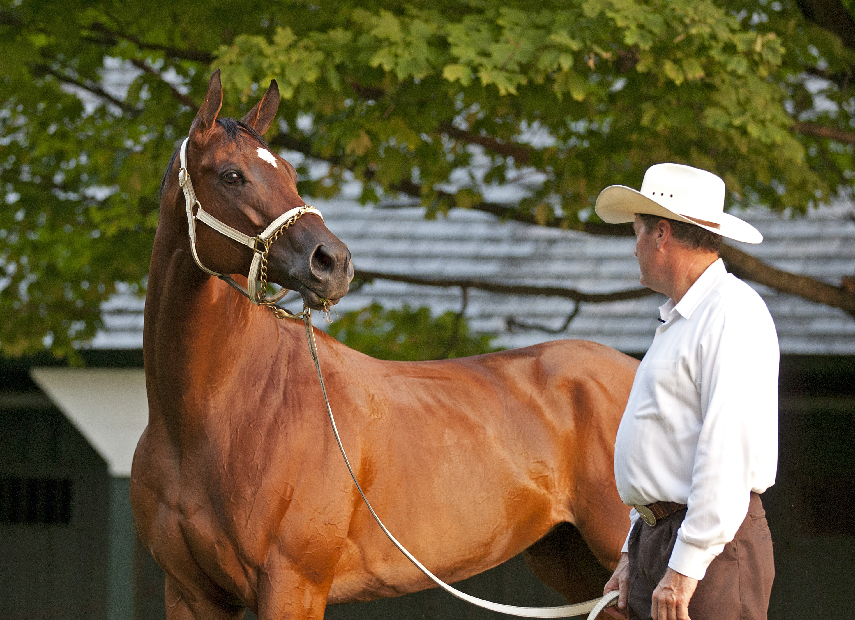 Havre de Grace