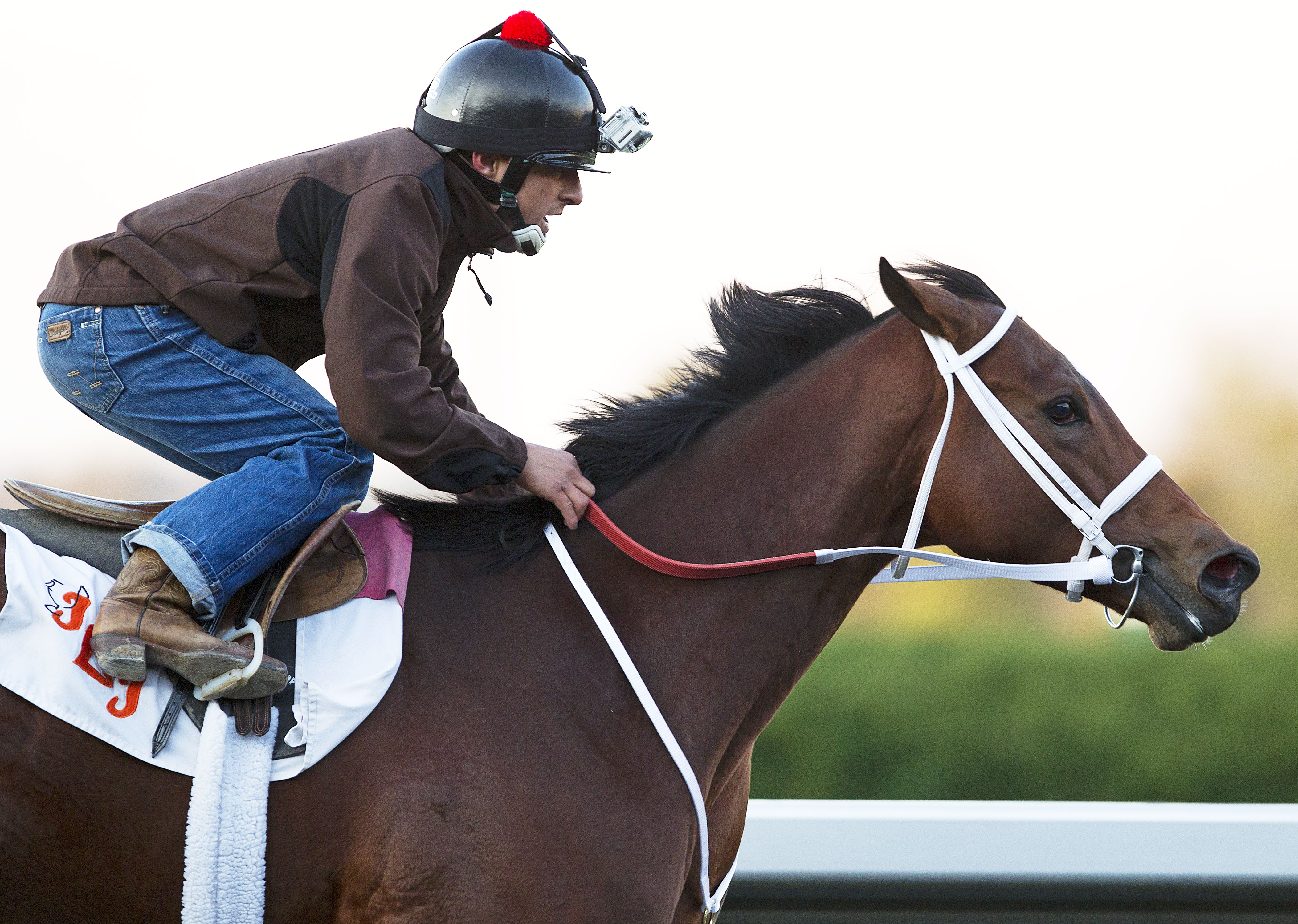Havre de Grace/Oct. 24 work