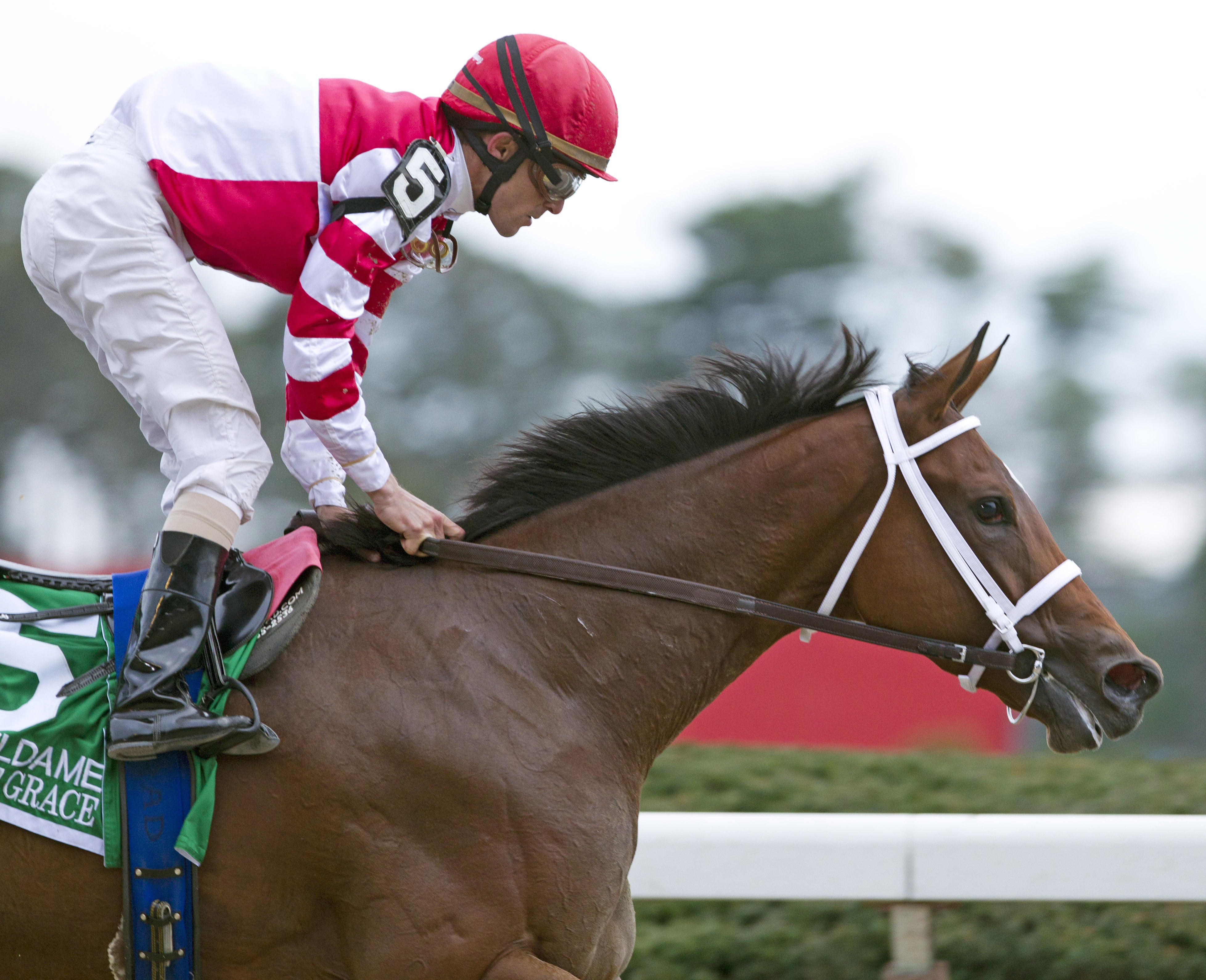 Havre de Grace - Eclipse Awards