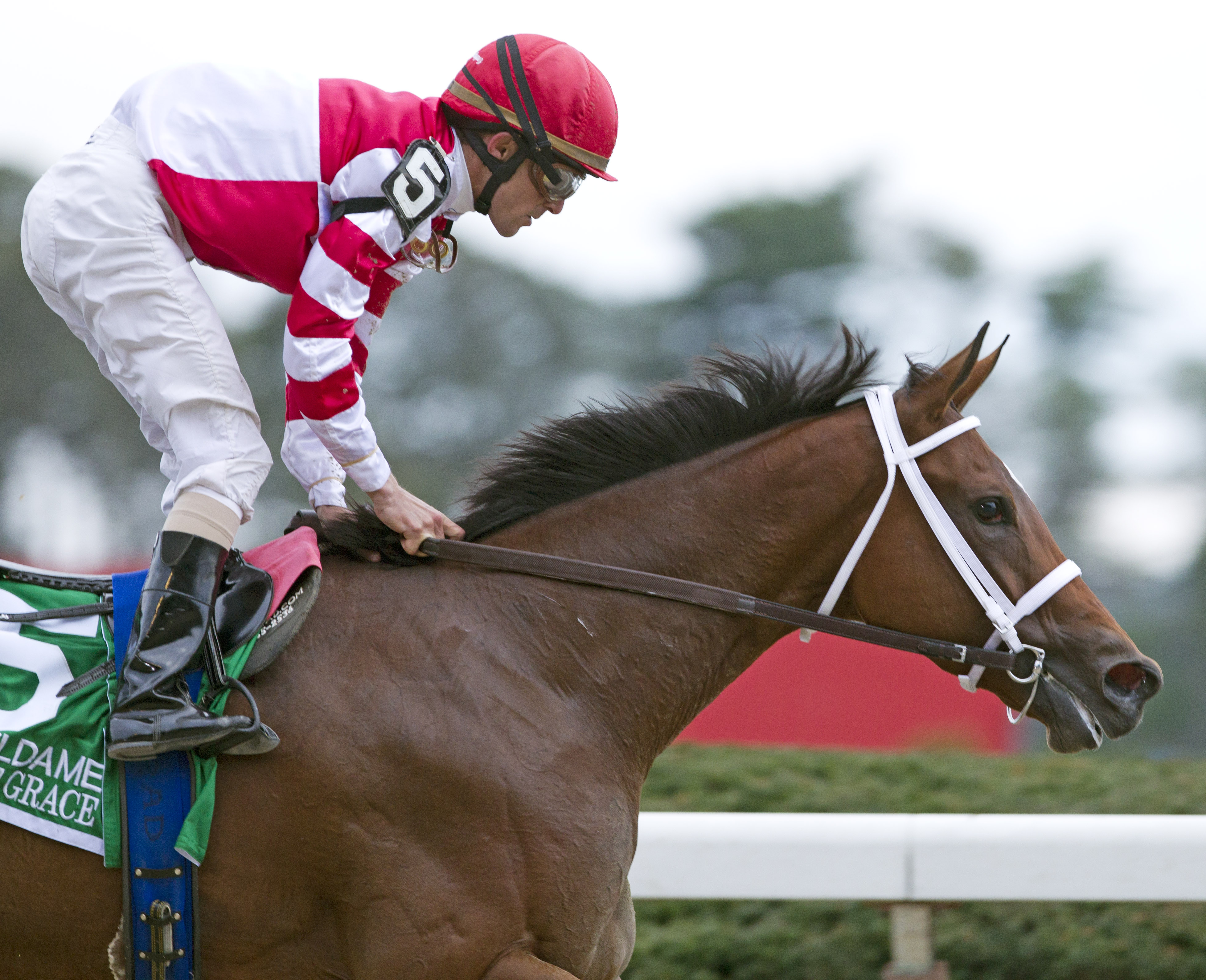 Havre de Grace