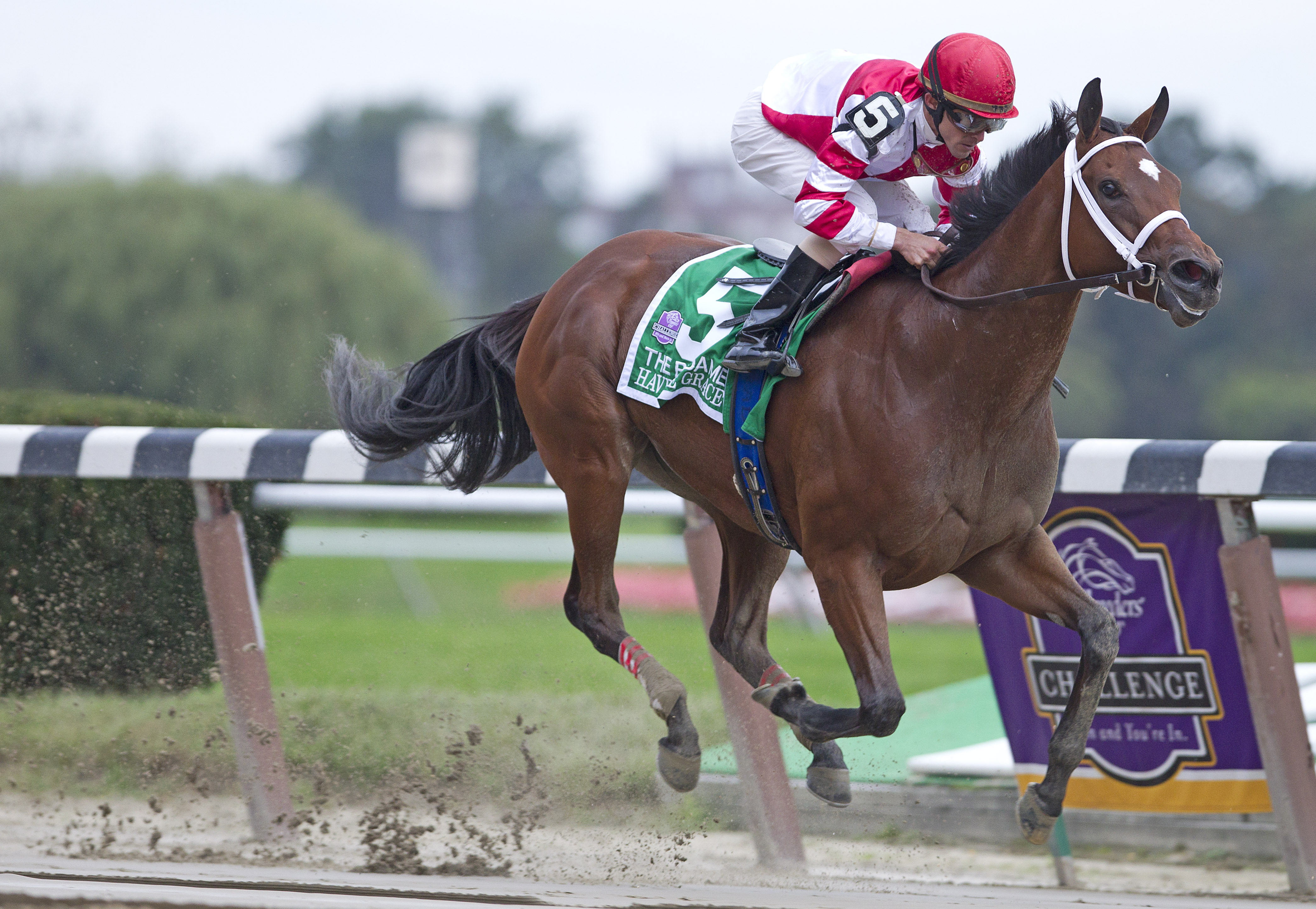 Havre de Grace/Beldame