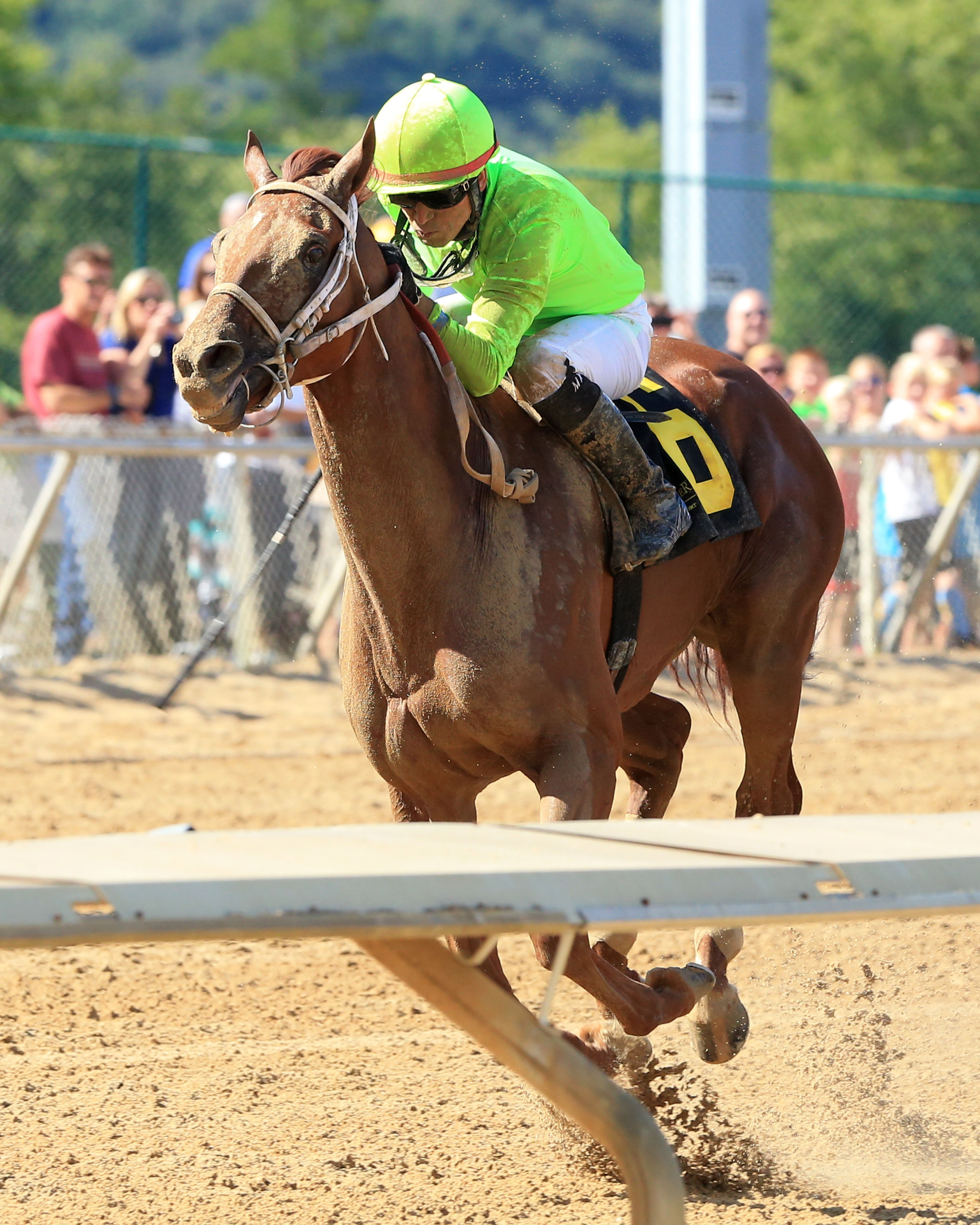 Hawaakom wins the West Virginia Governor's Stakes