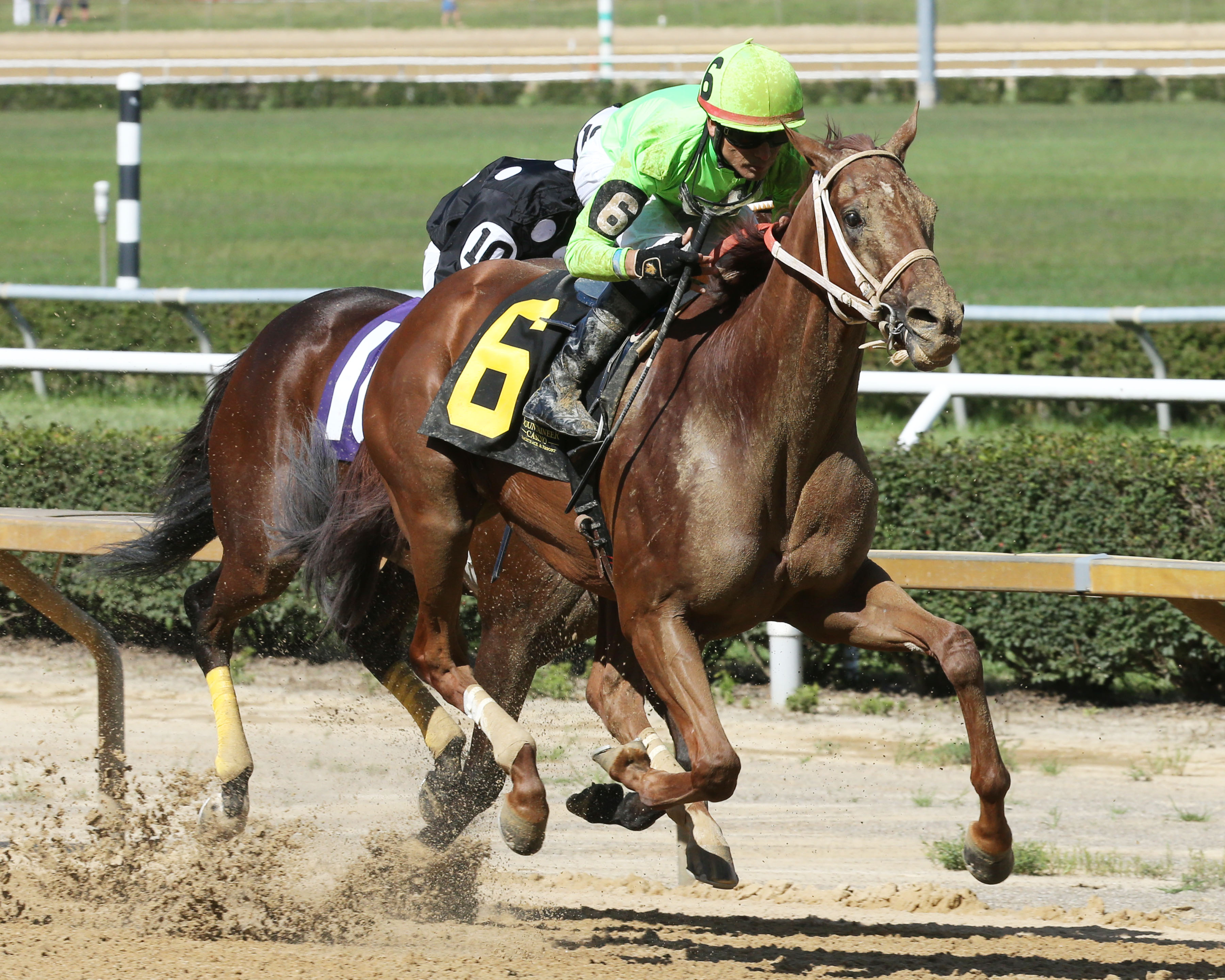 Hawaakom wins the West Virginia Governor's Stakes
