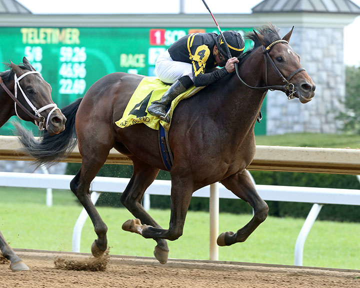 Hawaiian Noises wins an Oct. 13 maiden race