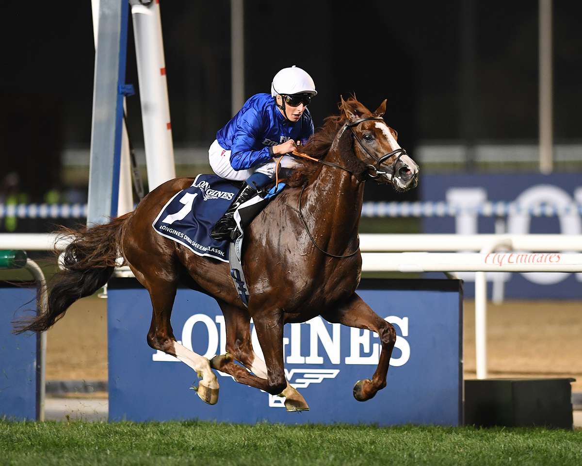 Hawkbill wins the Dubai Sheema Classic Stakes