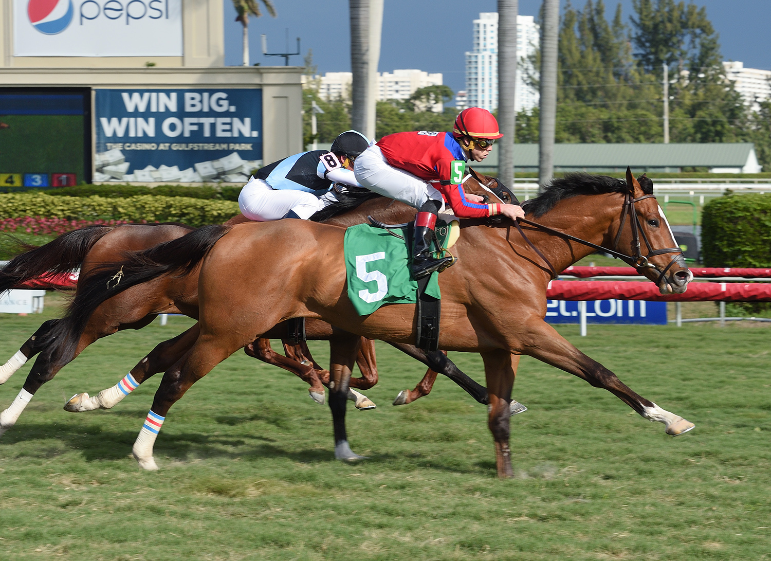 Hawkish wins a Jan. 6 maiden race