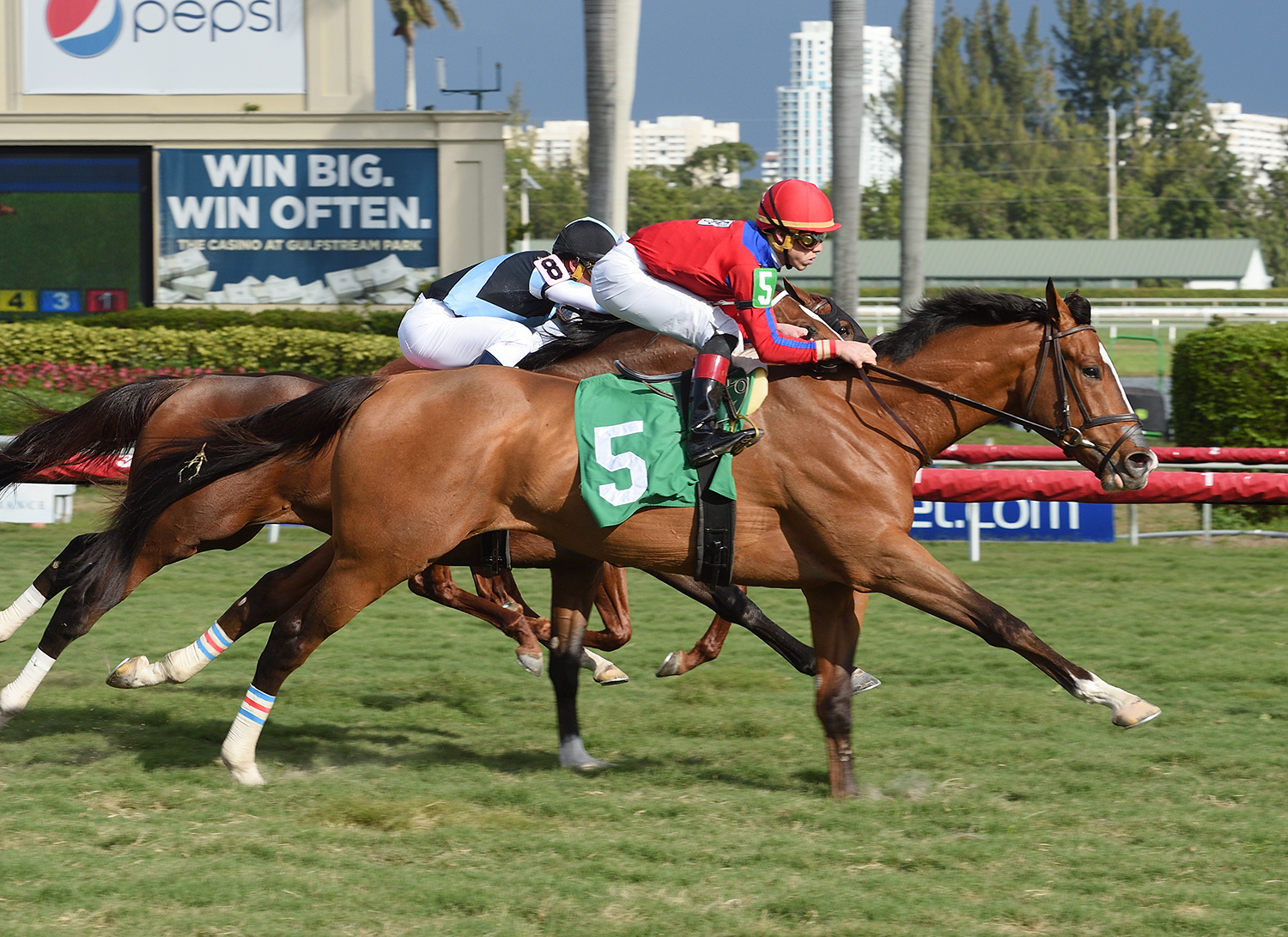Hawkish wins a Jan. 6 maiden race