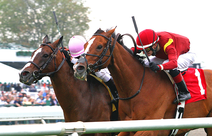 Hawkish wins the 2019 Cliff Hanger Stakes