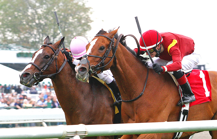 Hawkish wins the 2019 Cliff Hanger Stakes