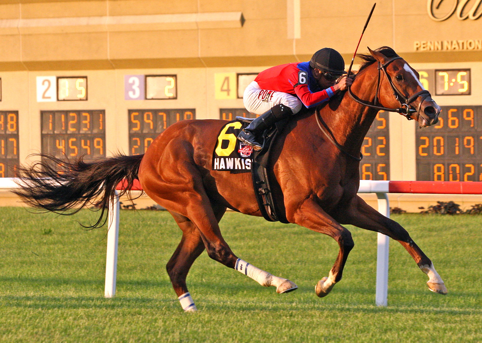 Hawkish wins the 2018 Penn Mile