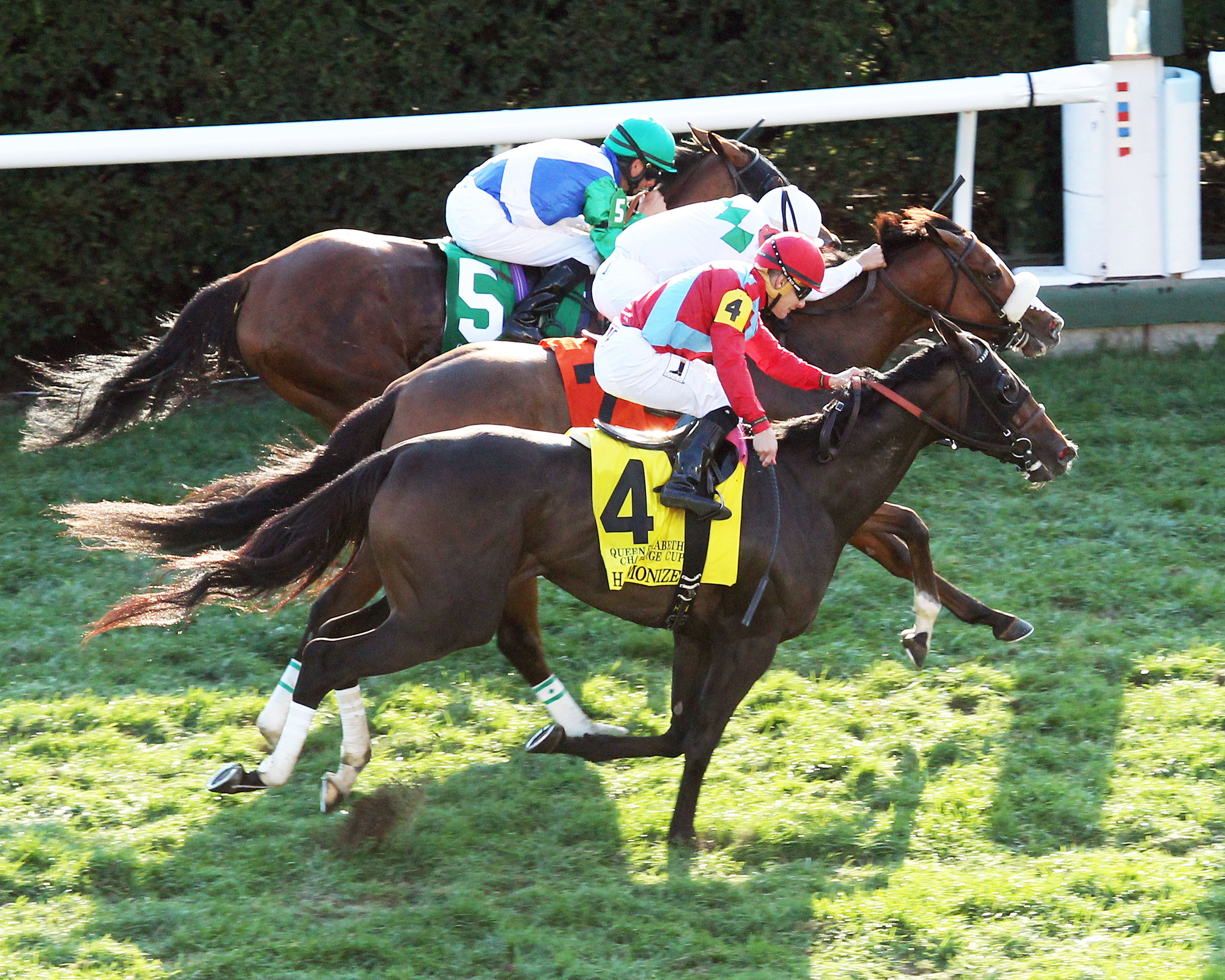 Hawksmoor finishes third in the Queen Elizabeth II Challenge Cup