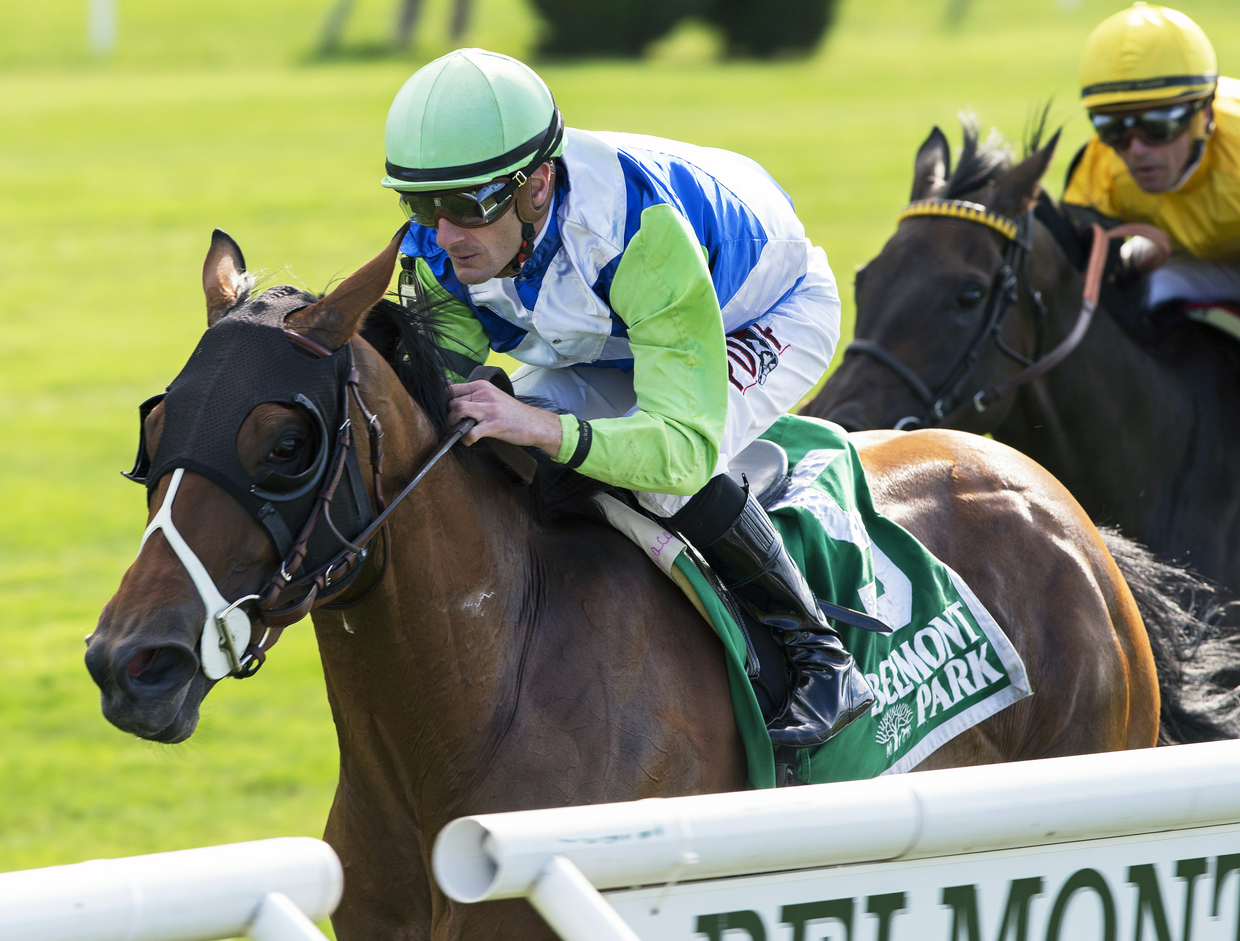 Hawksmoor wins the New York Stakes