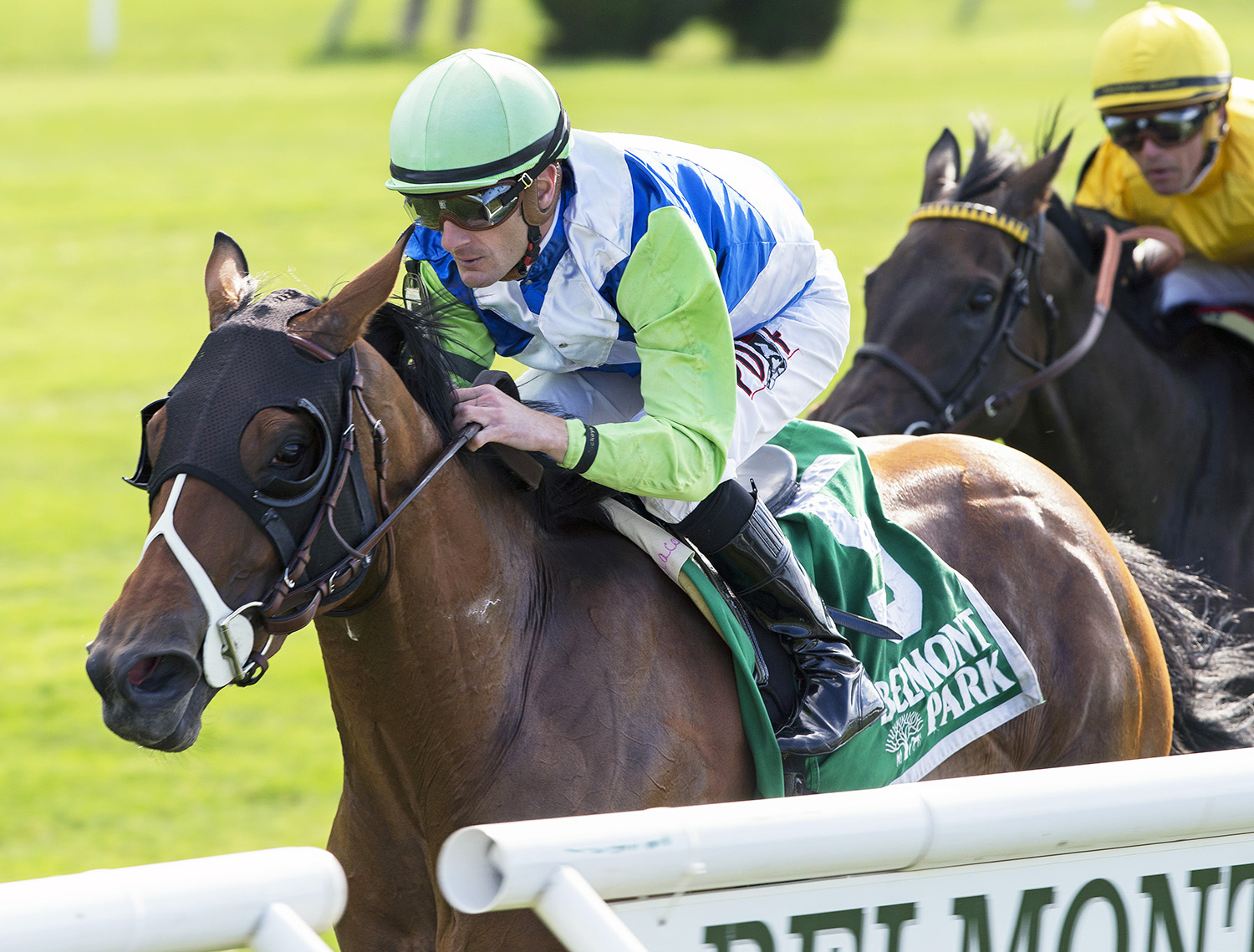 Hawksmoor wins the 2017 New York Stakes