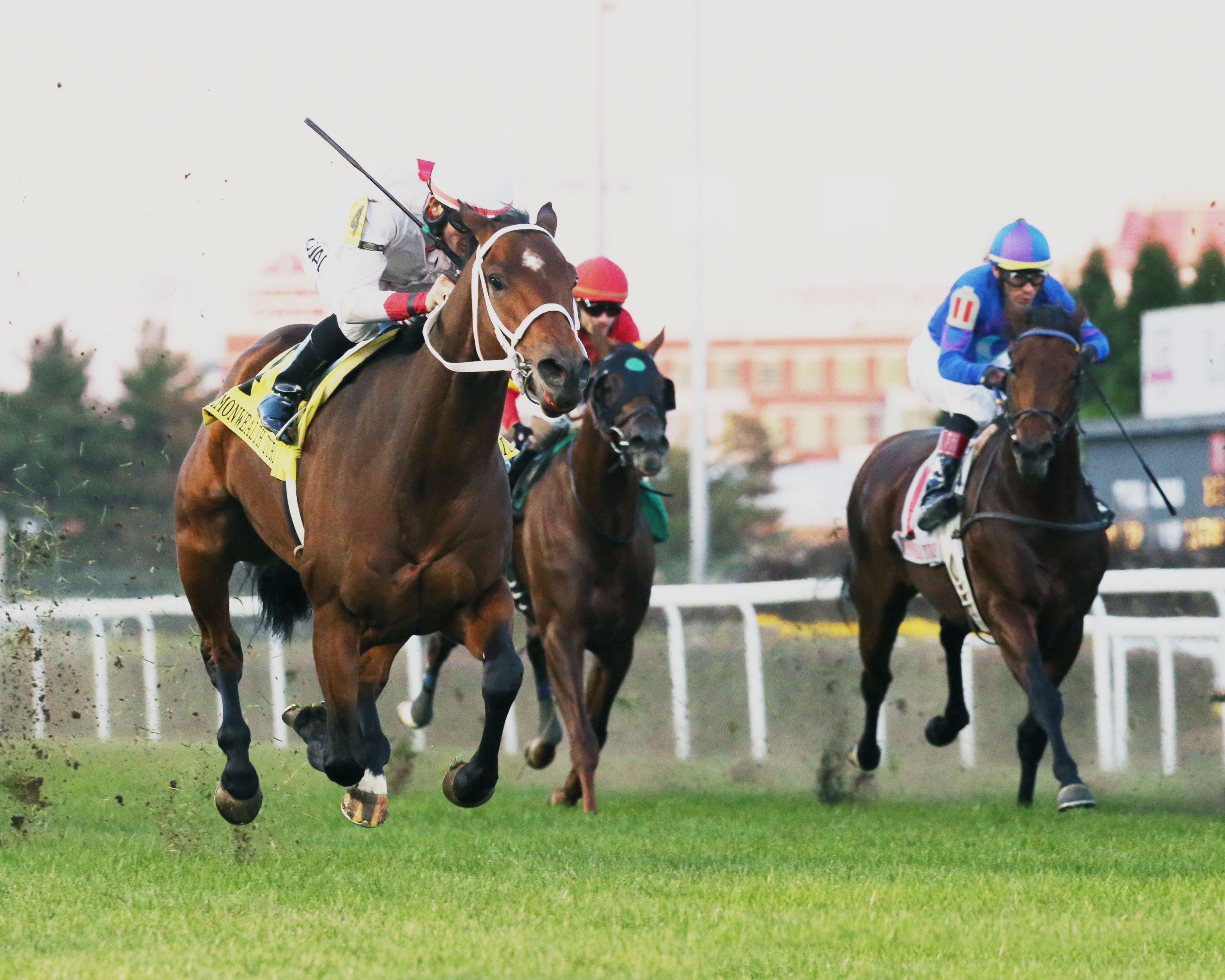 Hay Dakota wins the Commonwealth Turf
