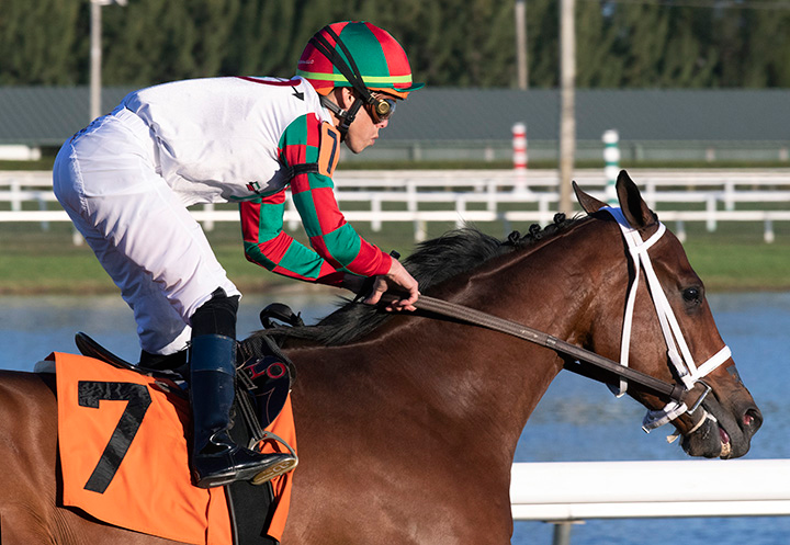 Hay Dakota wins a Jan. 26 allowance at Gulfstream Park