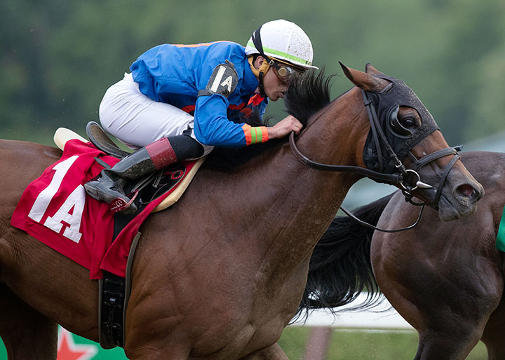 Hay Field finishes second in a July 2019 allowance race at Saratoga Race Course