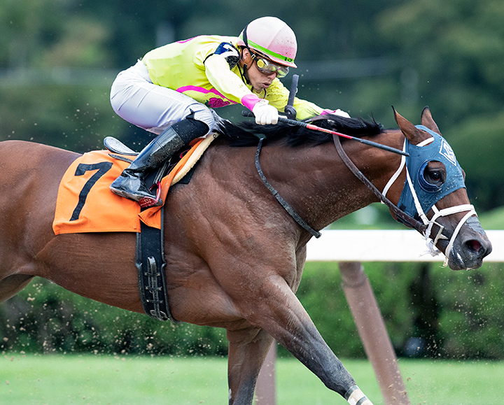 Hay Field wins a Sept. 2 allowance at Saratoga Race Course