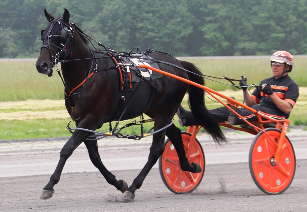 Hayden Hanover