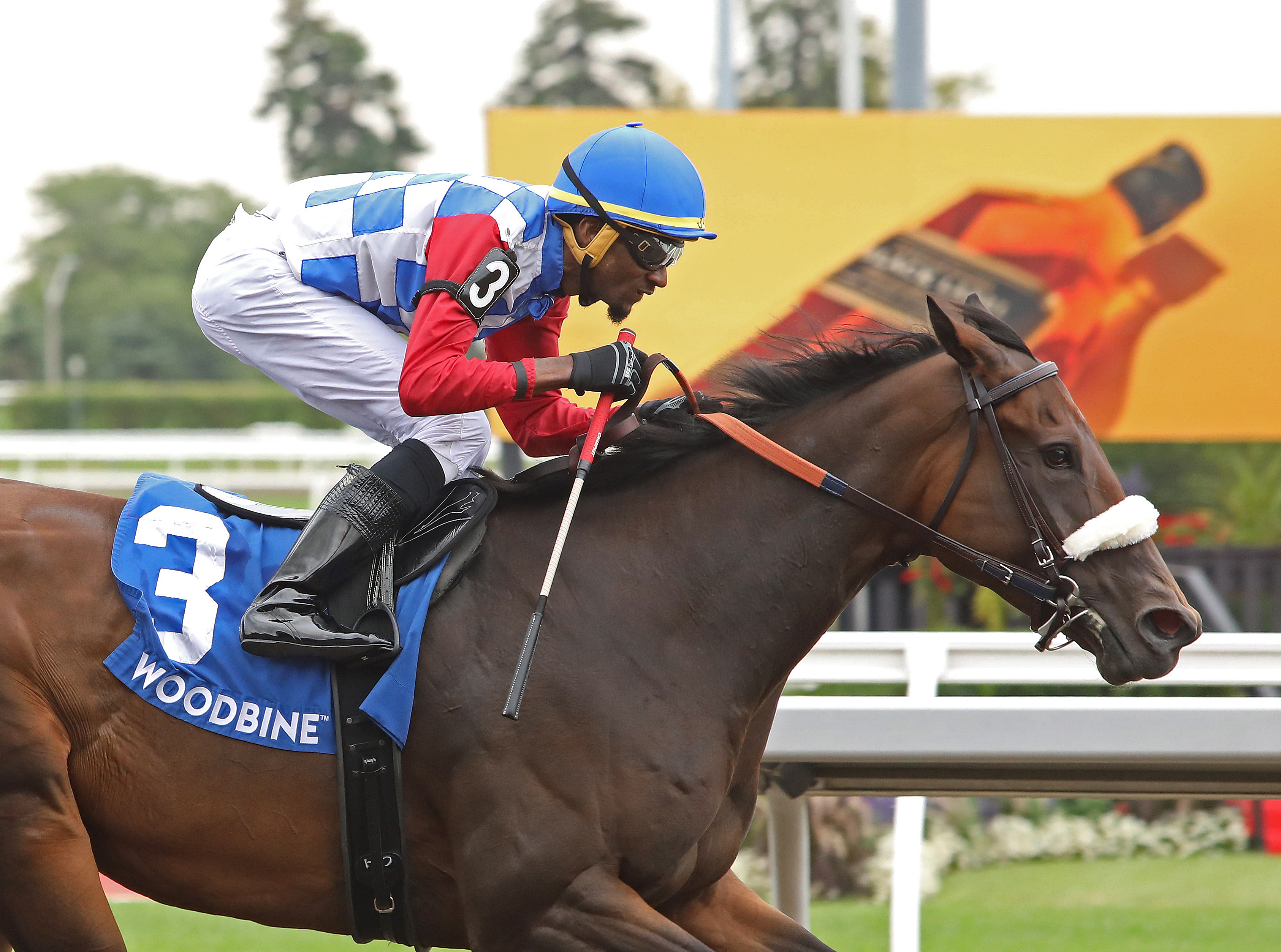 Hazelbrook wins the Sweet Briar Too at Woodbine Aug 21 2022