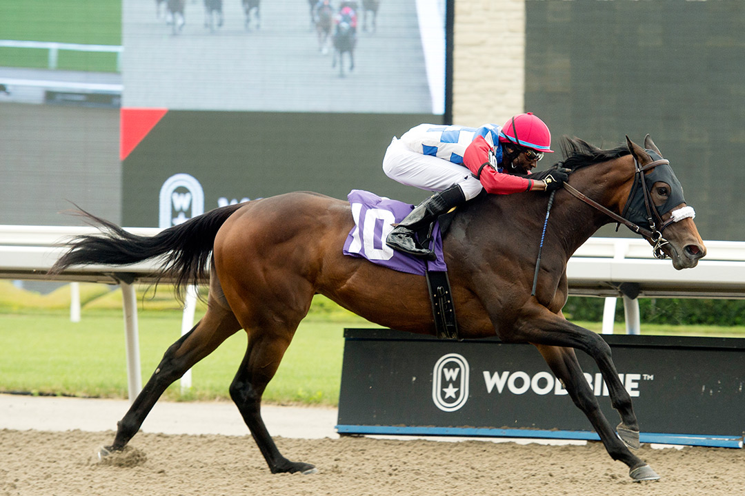 Hazelbrook wins a June 19 maiden race at Woodbine