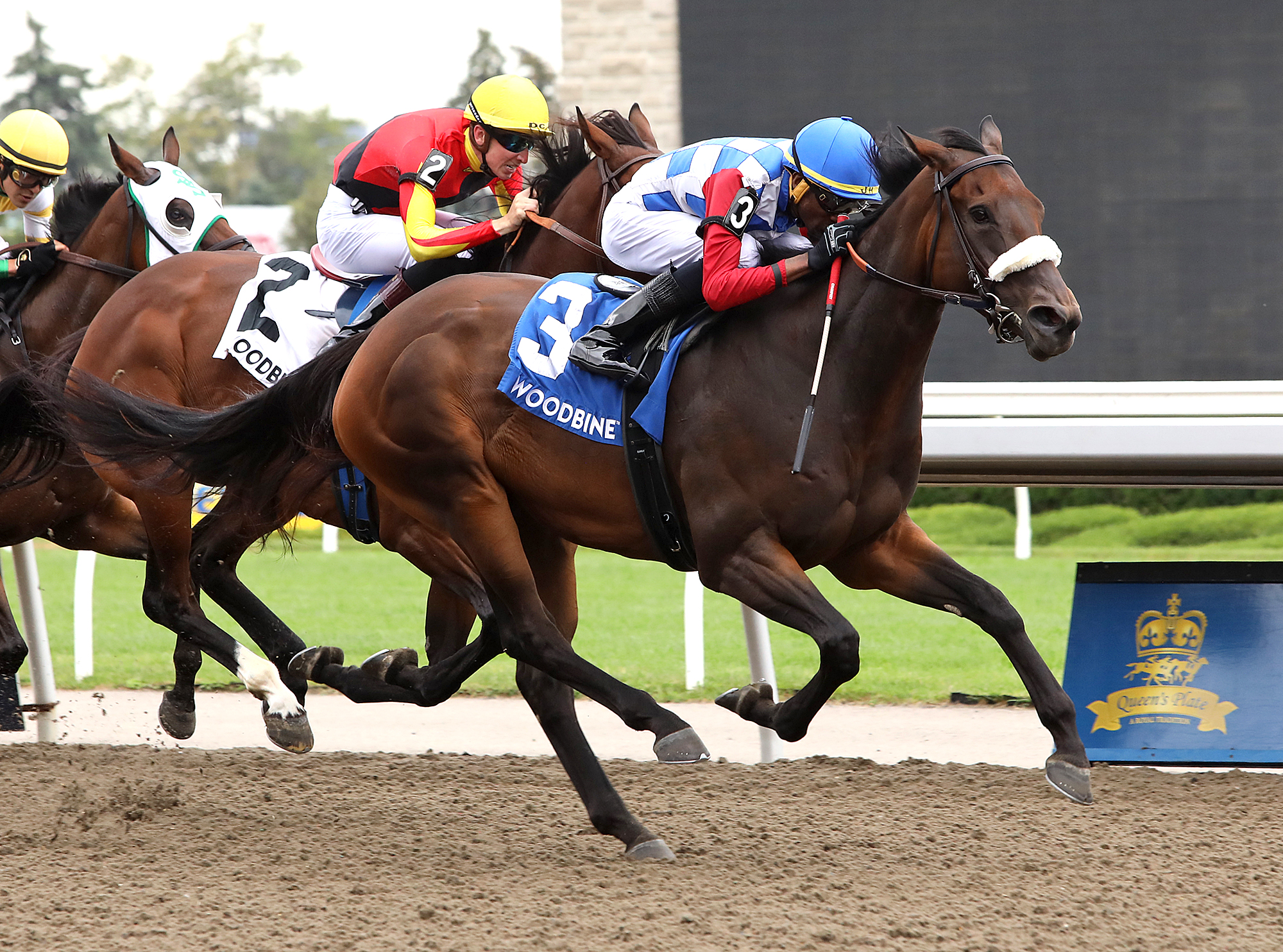 Hazelbrook wins Sweet Briar Too 8-21-2022