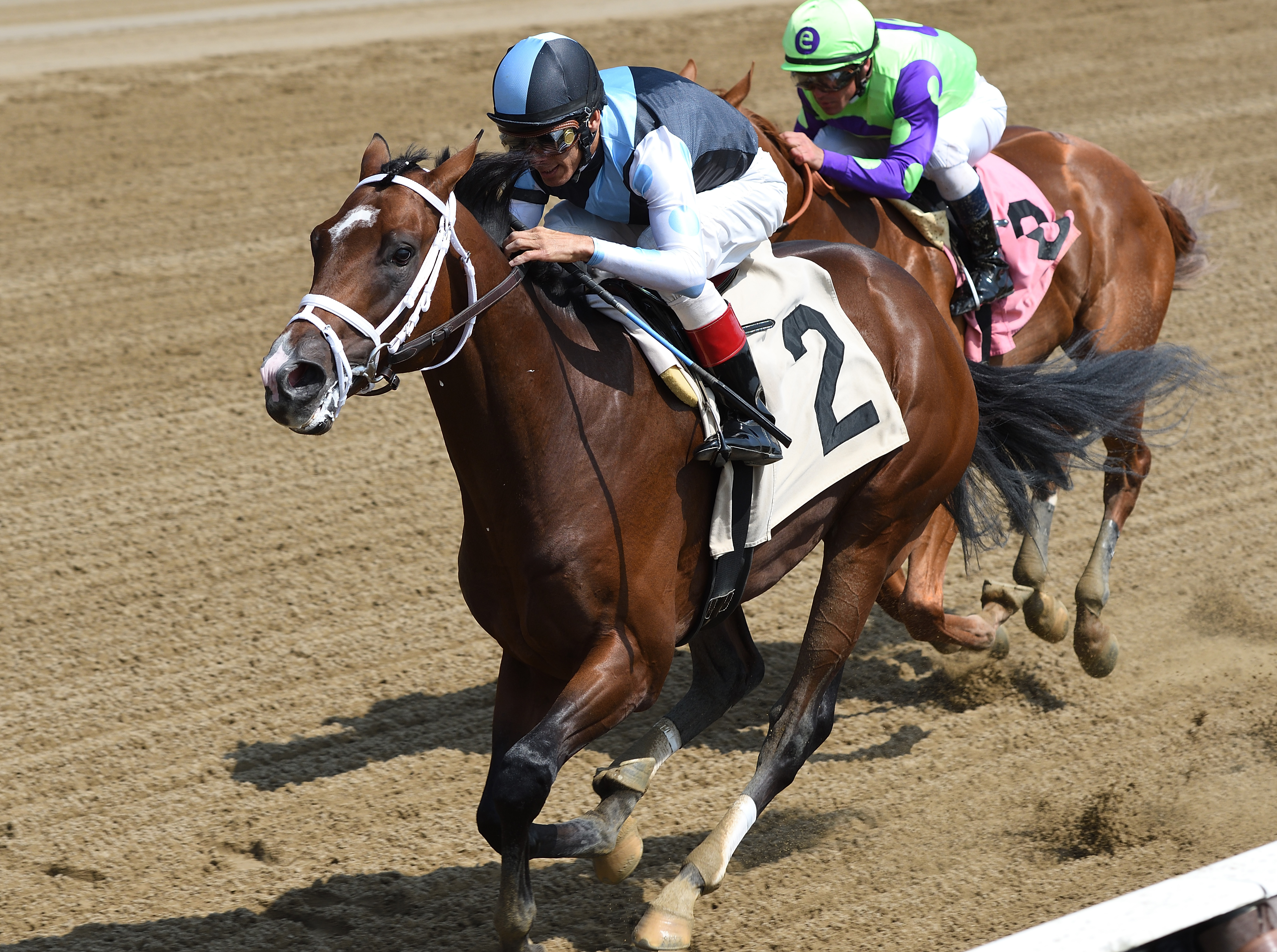 Hazit wins an Aug. 26 maiden race at Saratoga